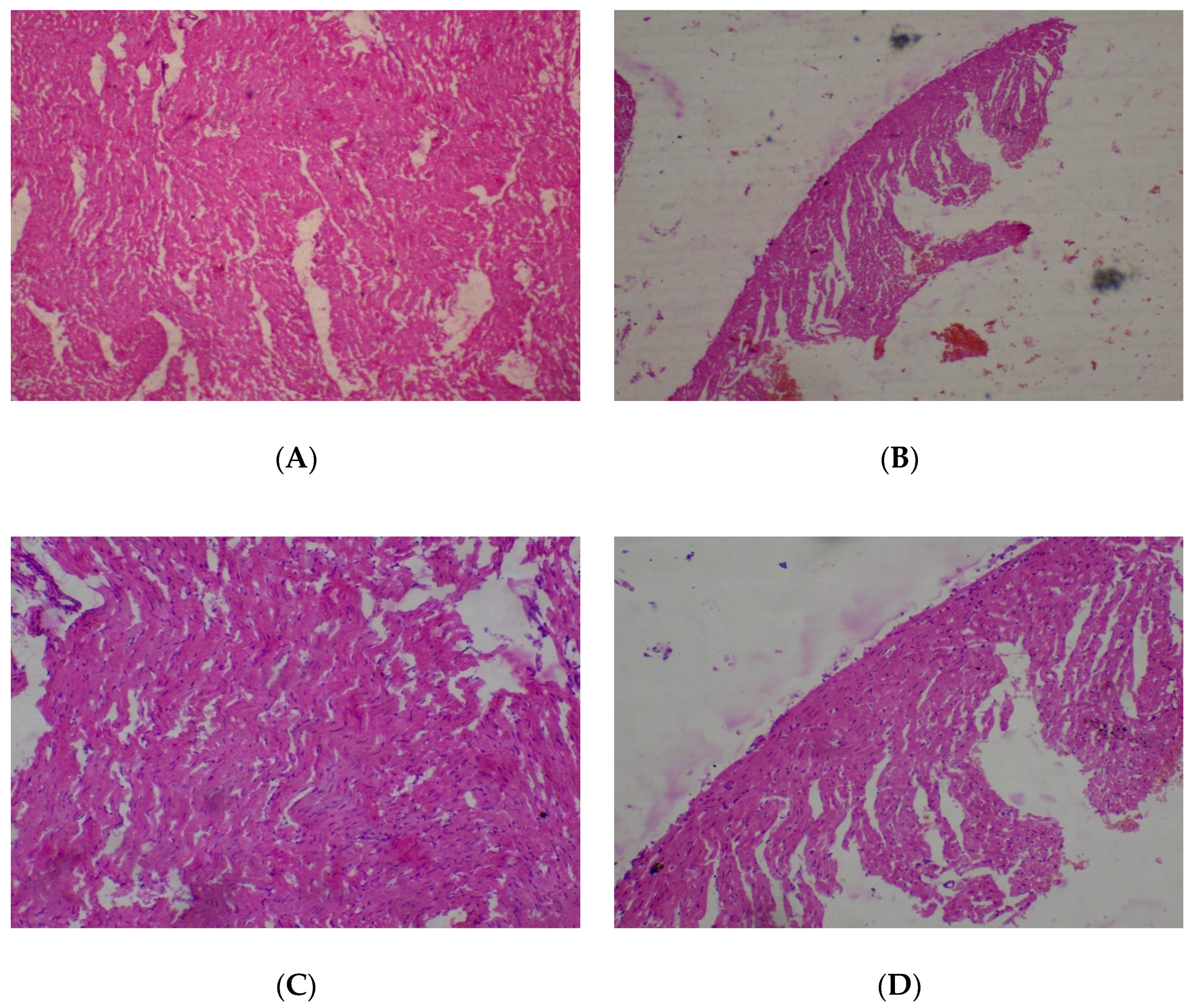 Medicines 05 00004 g002