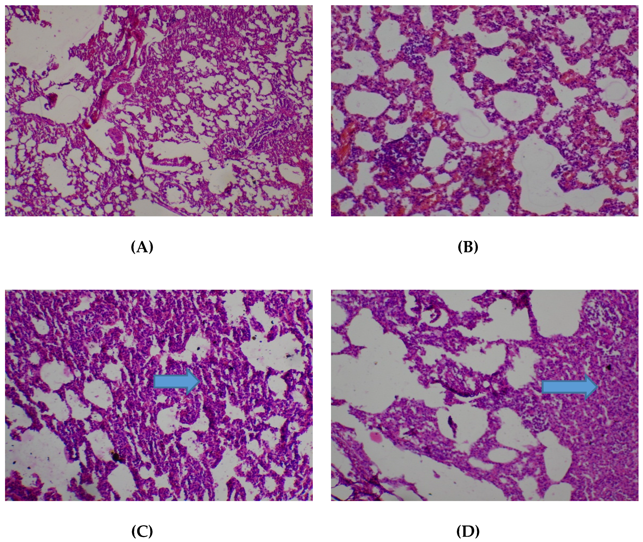 Medicines 05 00004 g003