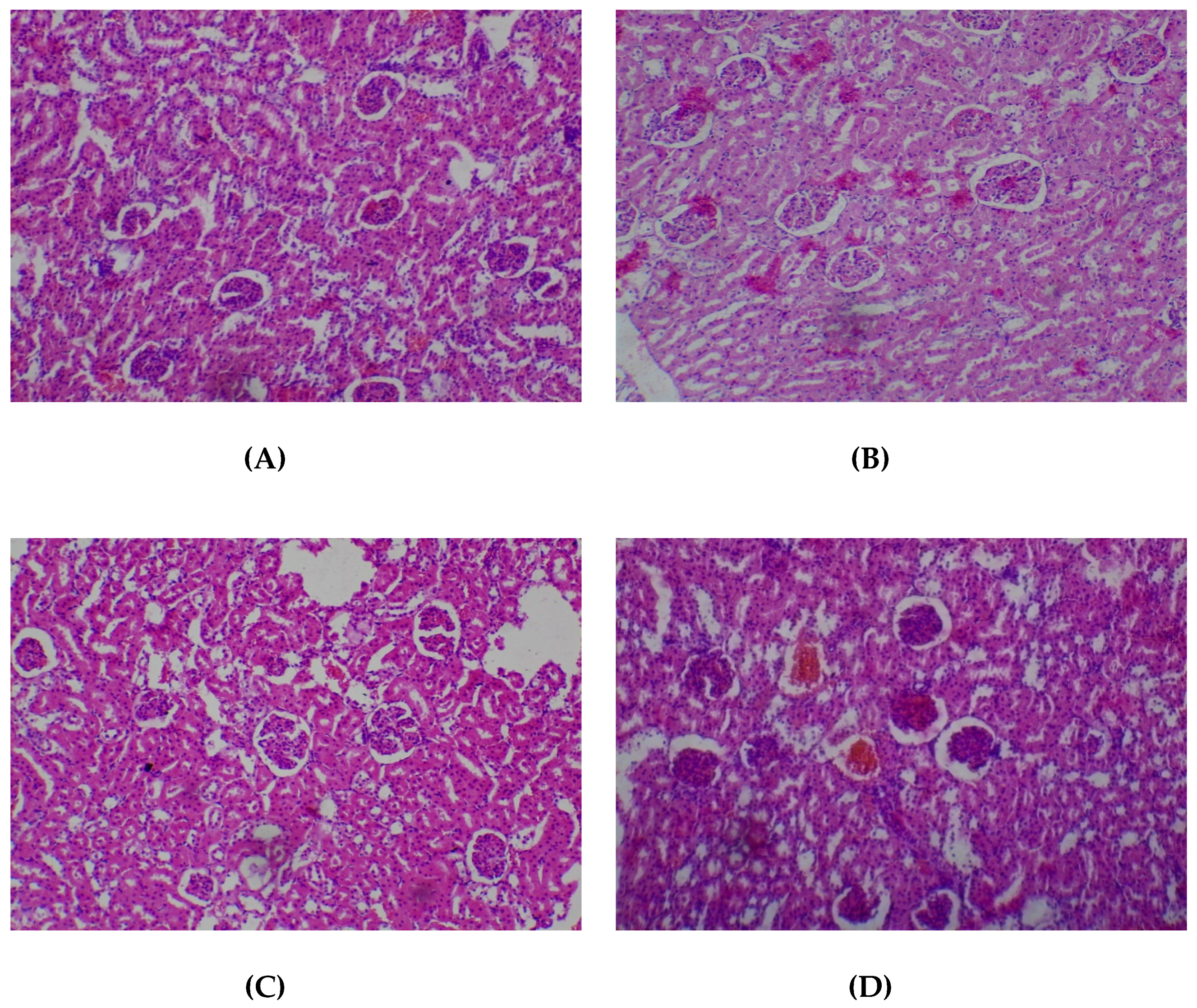 Medicines 05 00004 g004