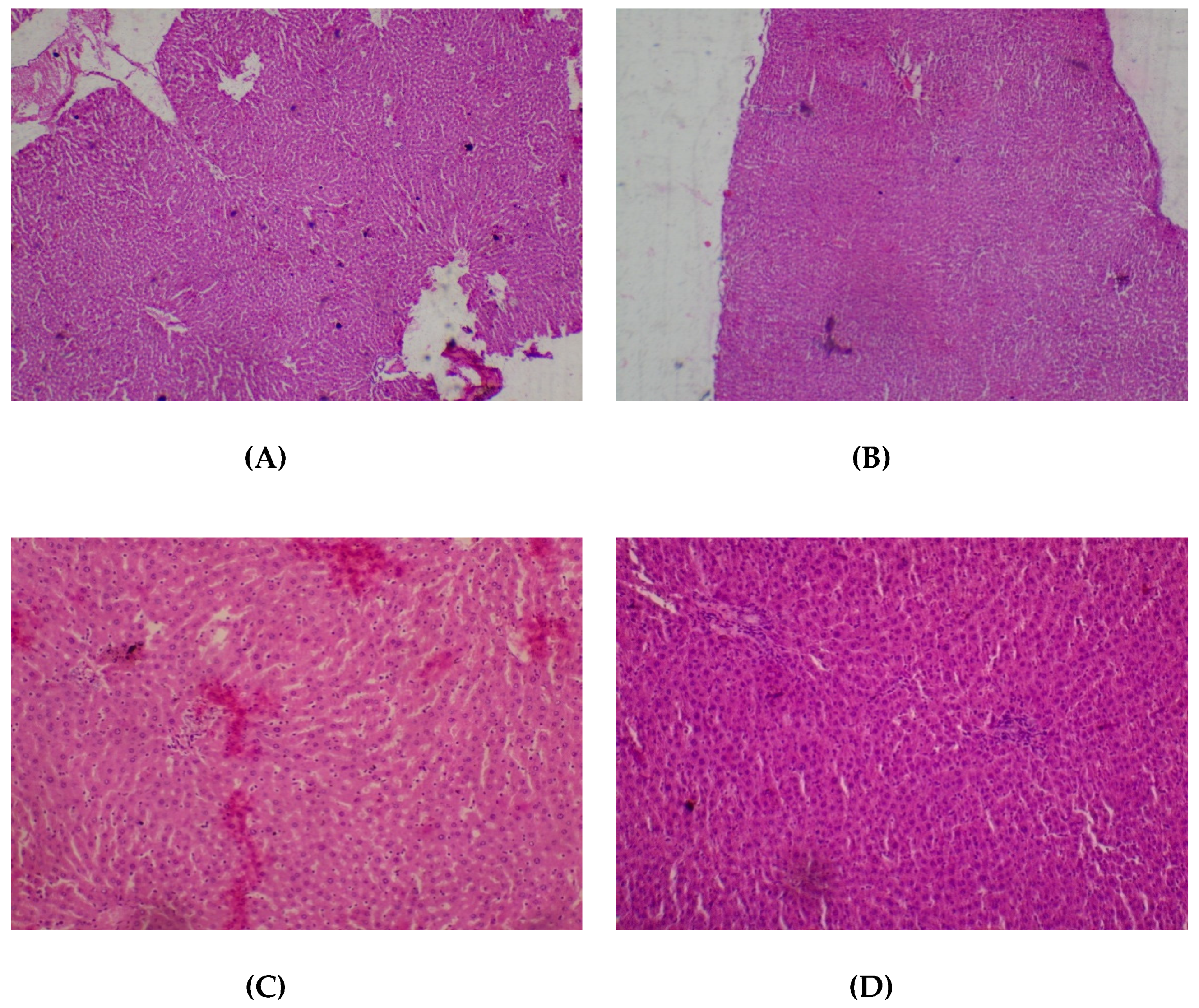 Medicines 05 00004 g005