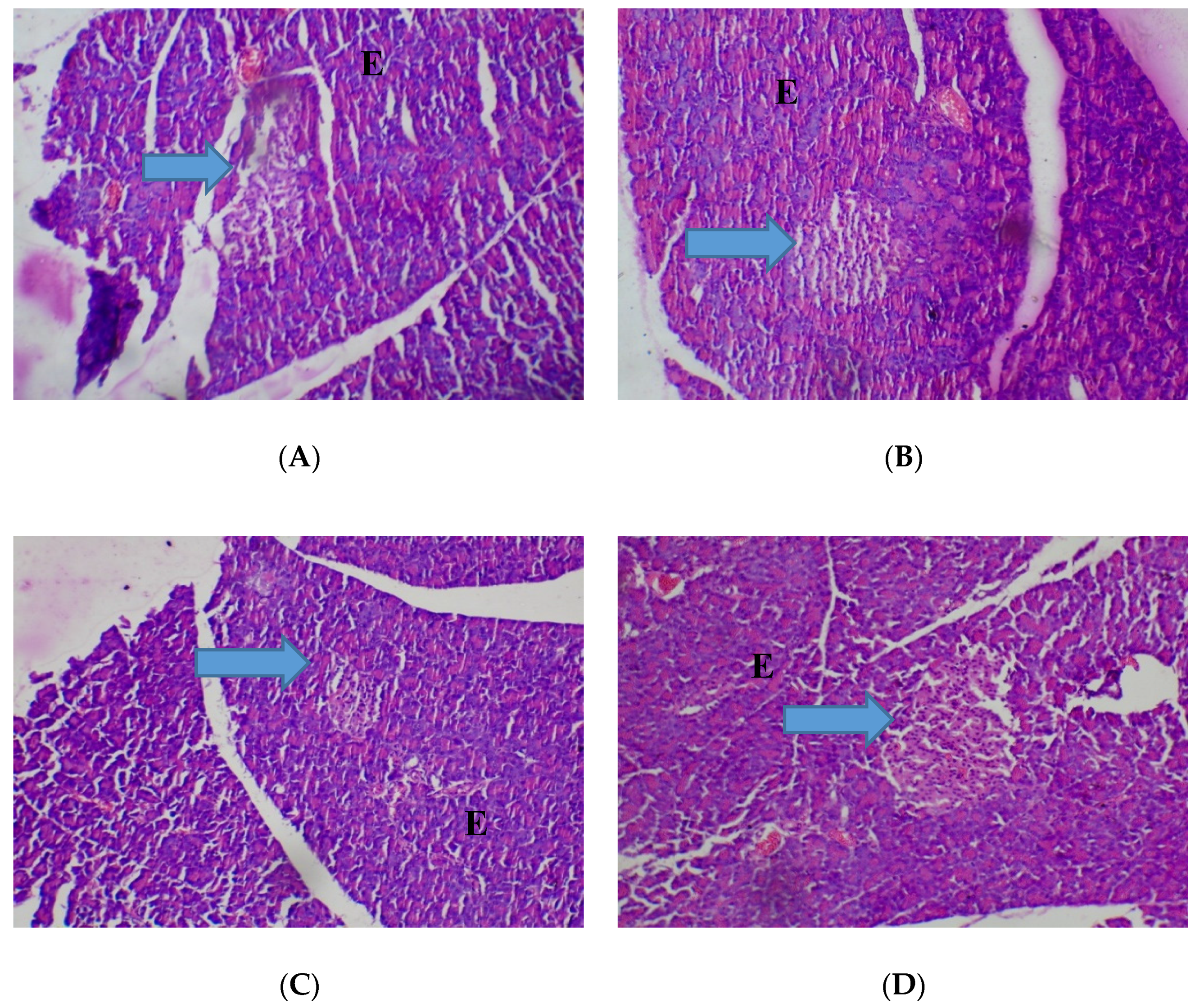 Medicines 05 00004 g006