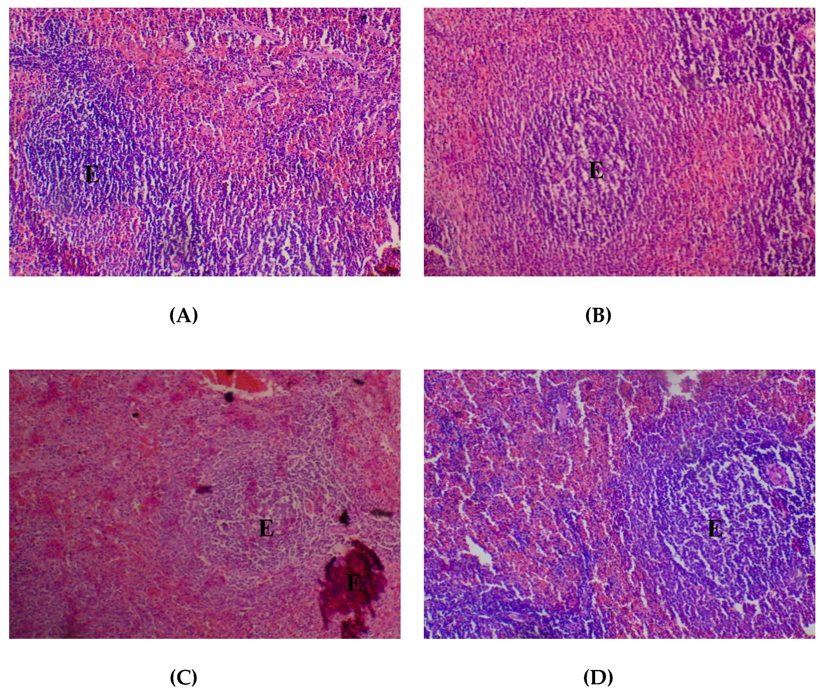 Medicines 05 00004 g007