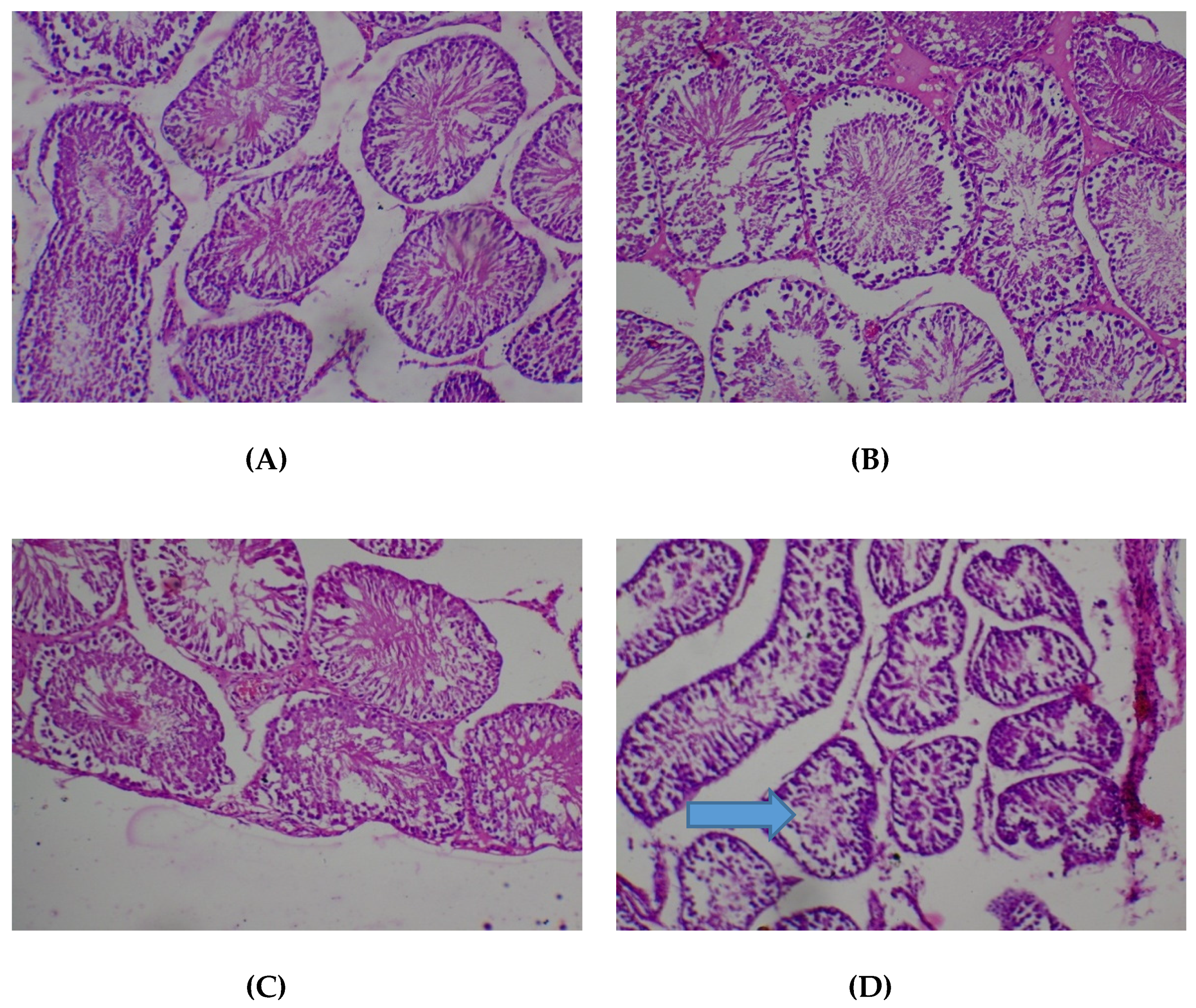 Medicines 05 00004 g008
