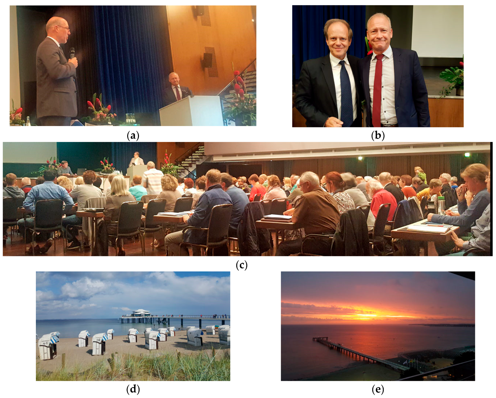 Medicines 05 00005 g020