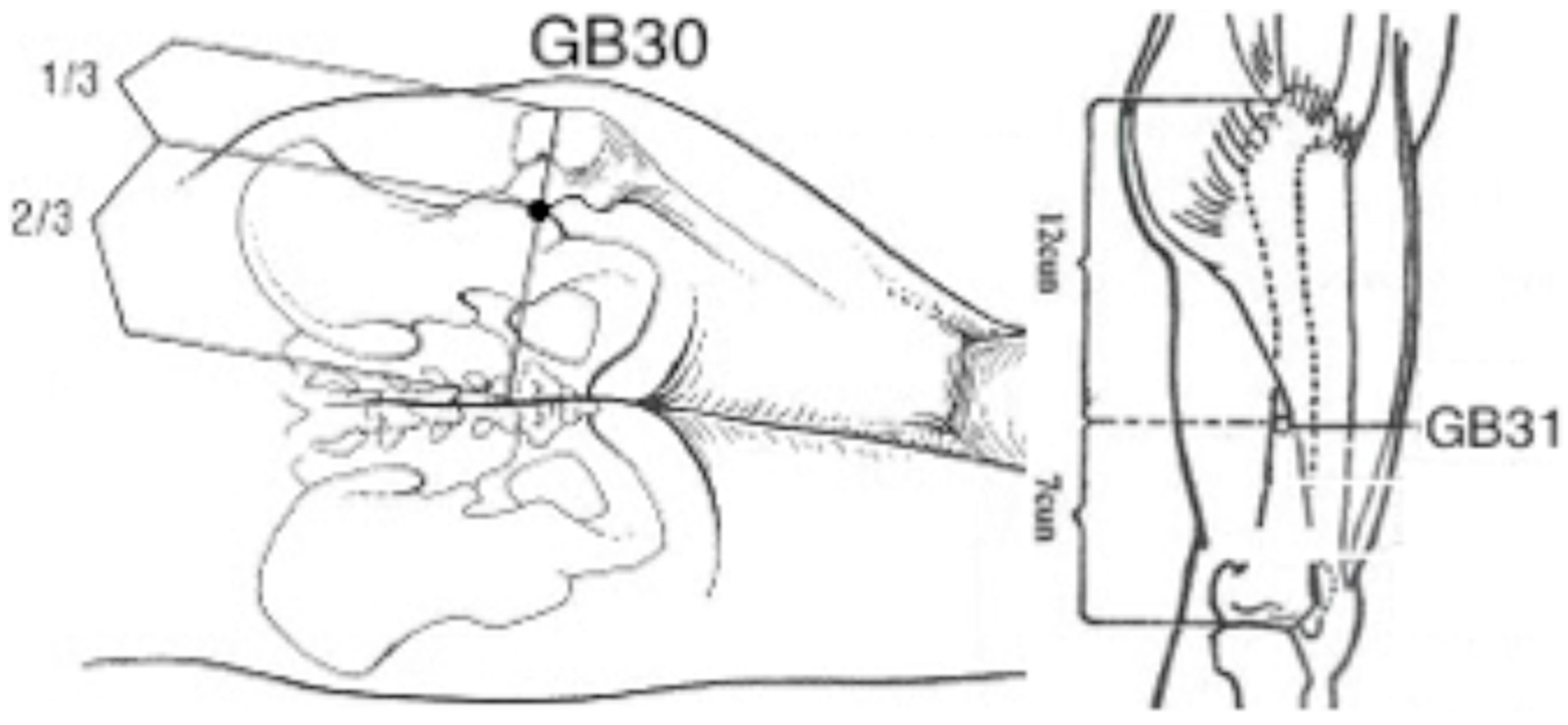 Medicines 05 00006 g001