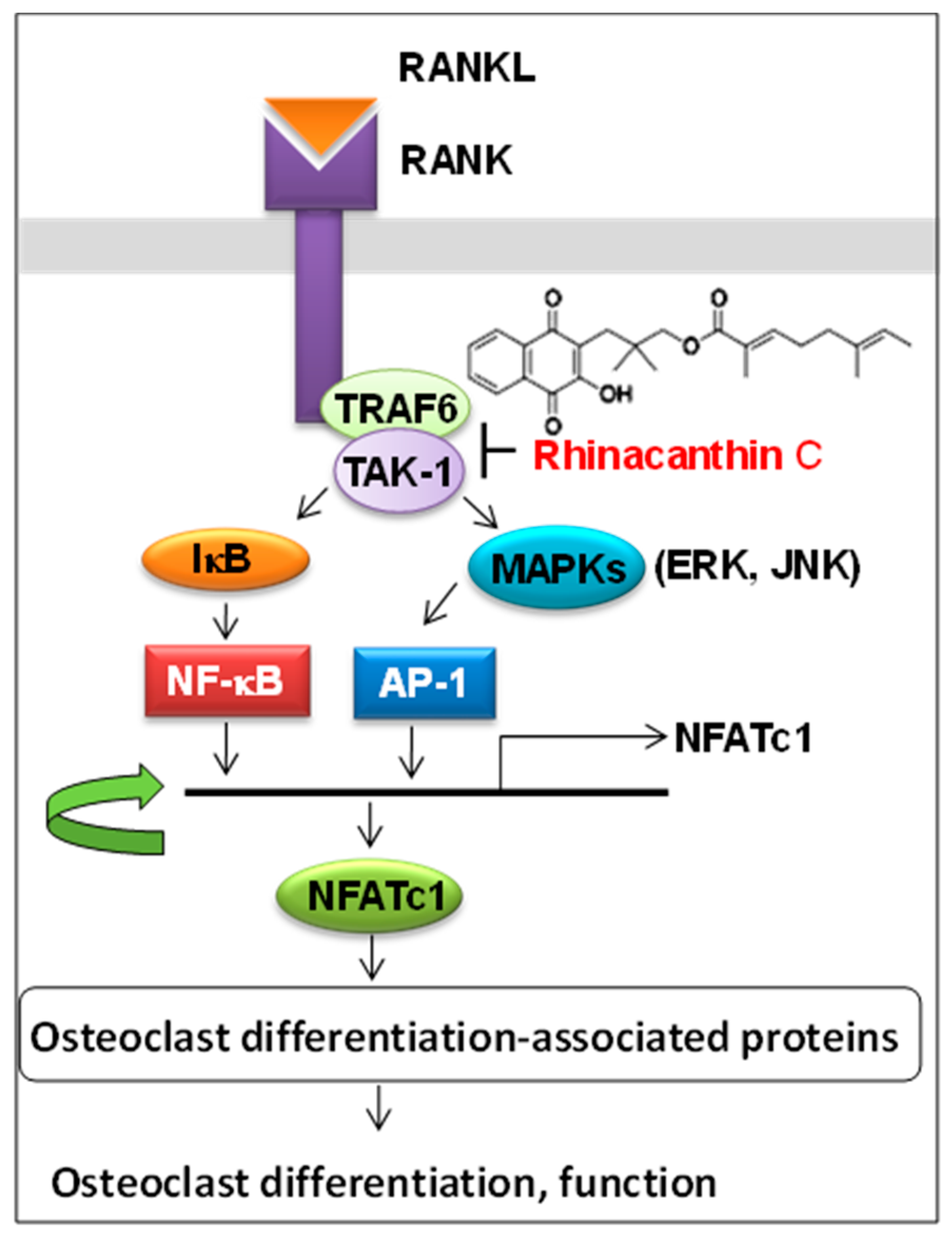 Medicines 05 00021 g001
