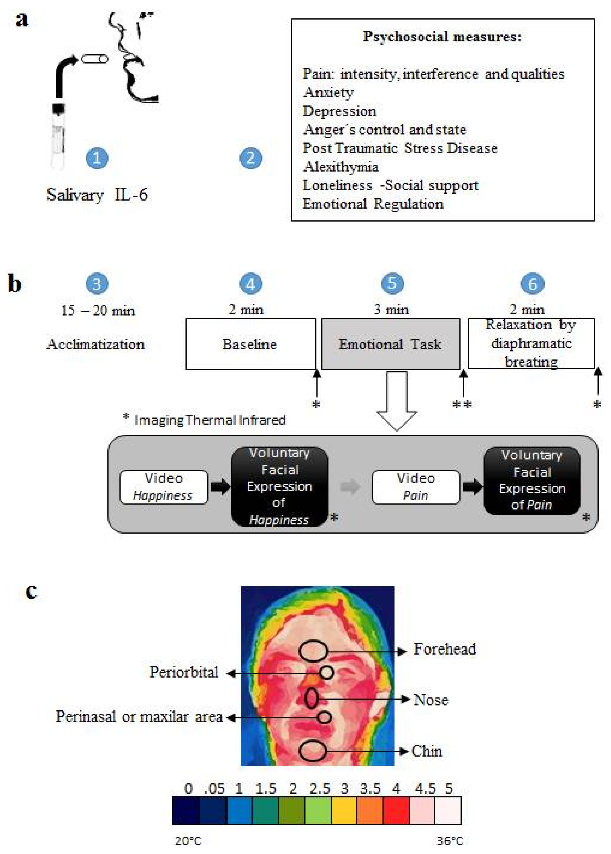 Medicines 05 00030 g001