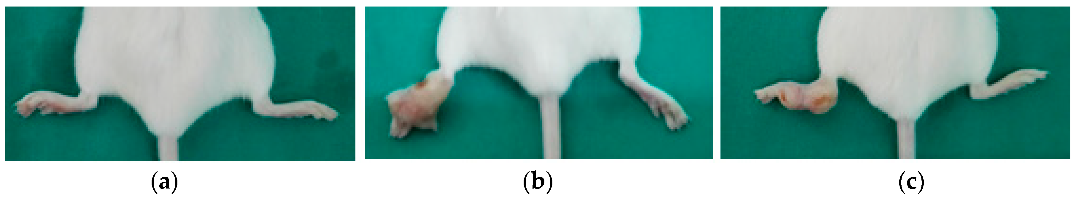 Medicines 05 00049 g002