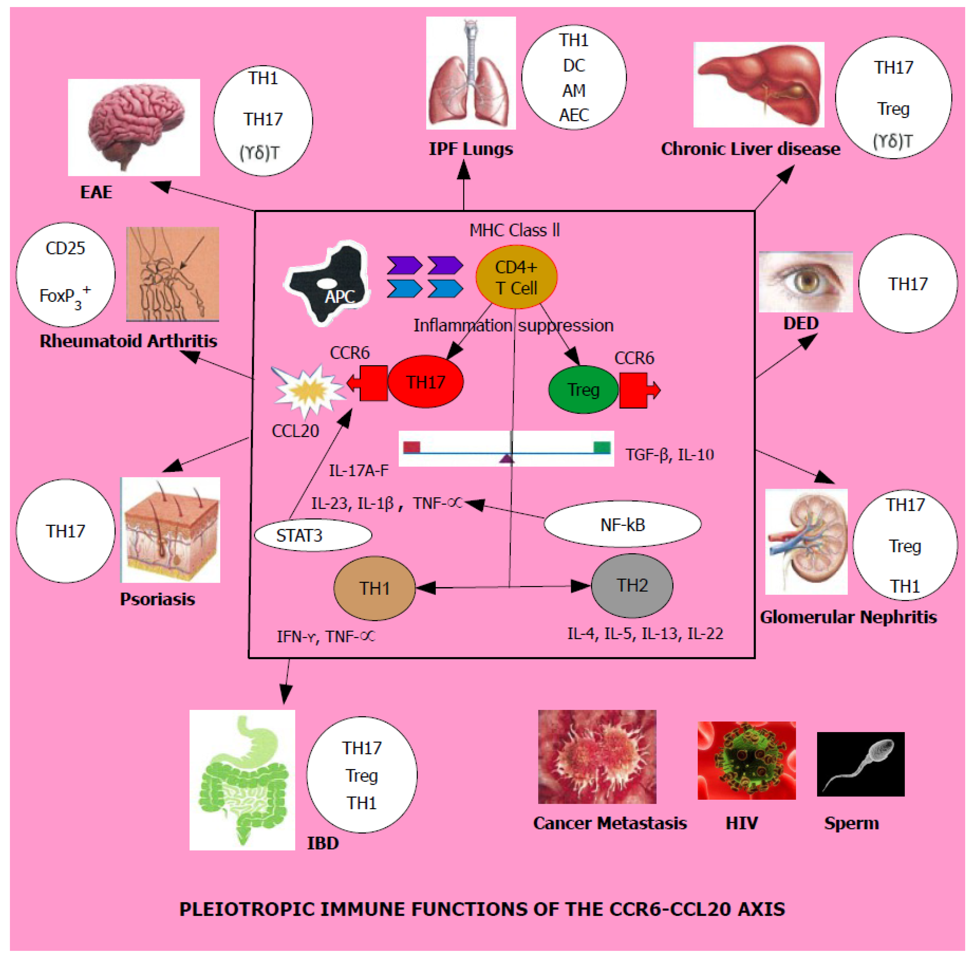 Medicines 05 00069 g002
