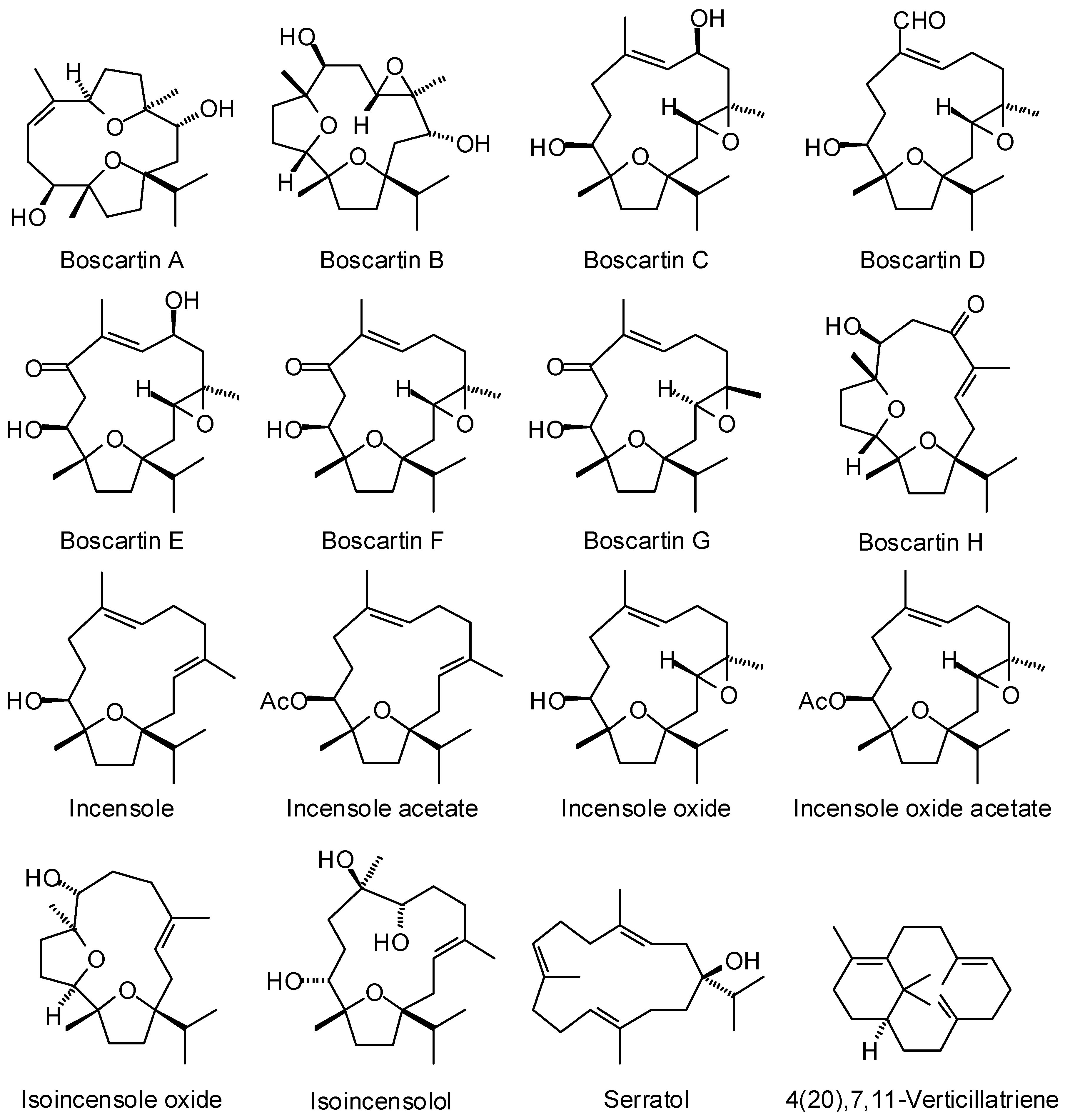 Medicines 05 00096 g001