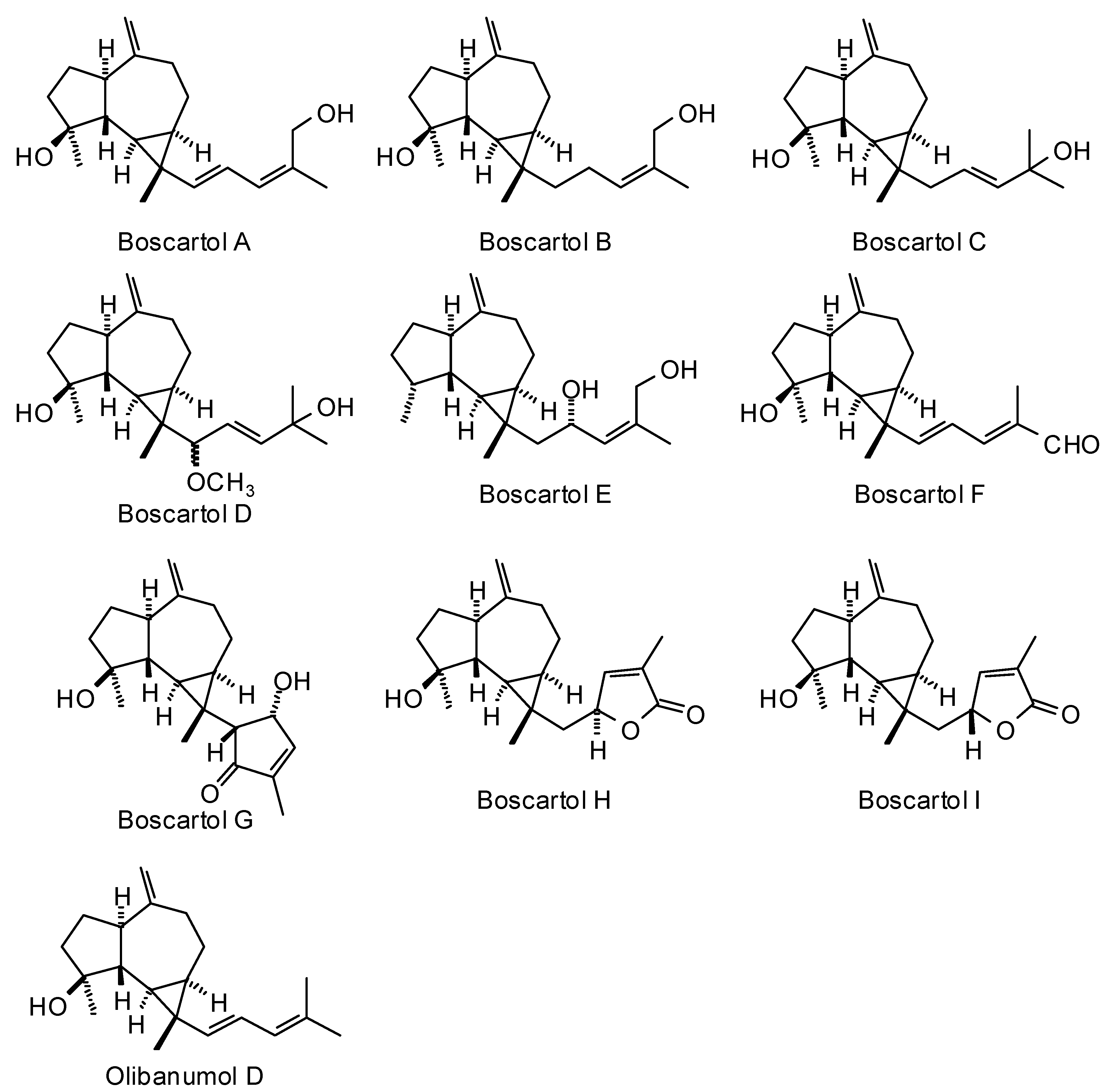 Medicines 05 00096 g002