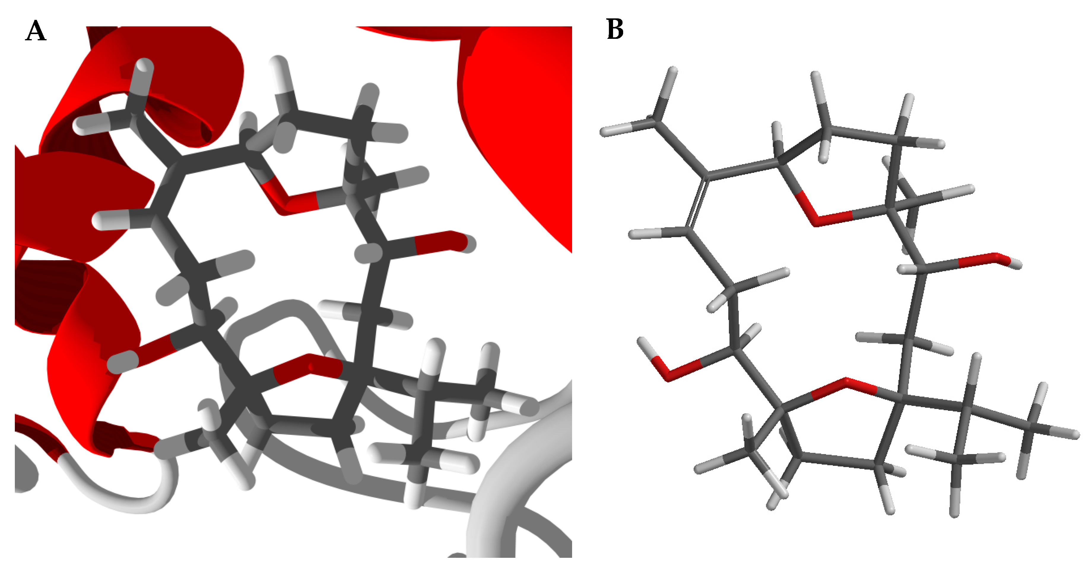 Medicines 05 00096 g005