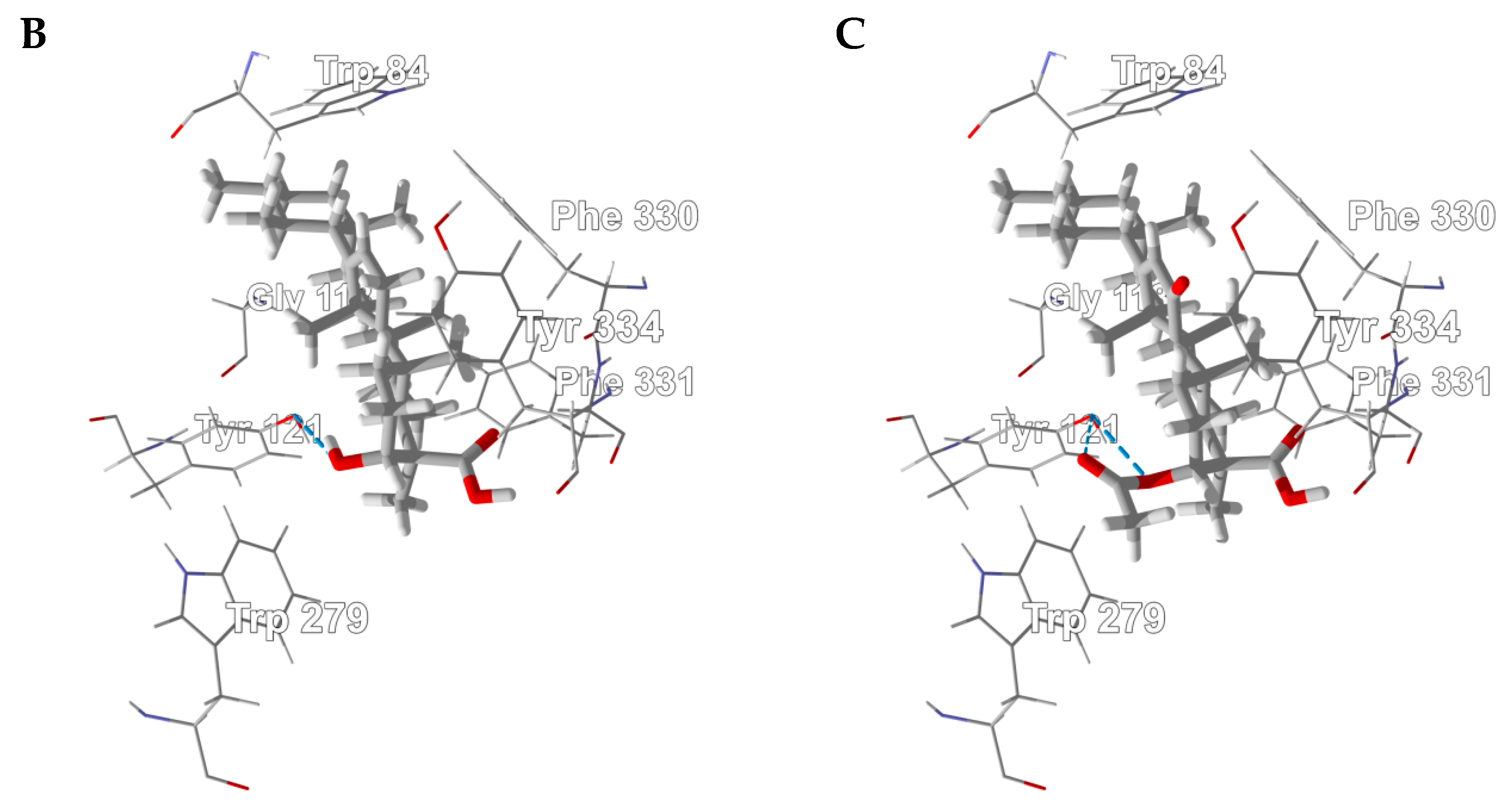 Medicines 05 00096 g012b