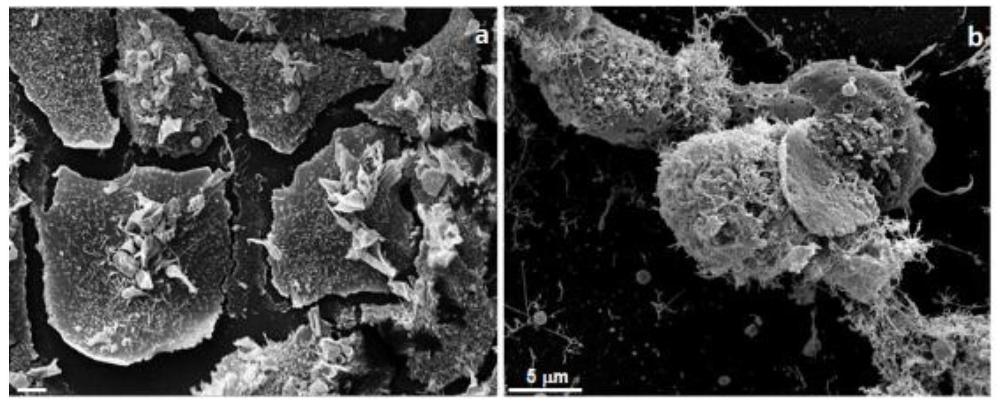 Medicines 05 00112 g002 Medicines 05 00112 g002