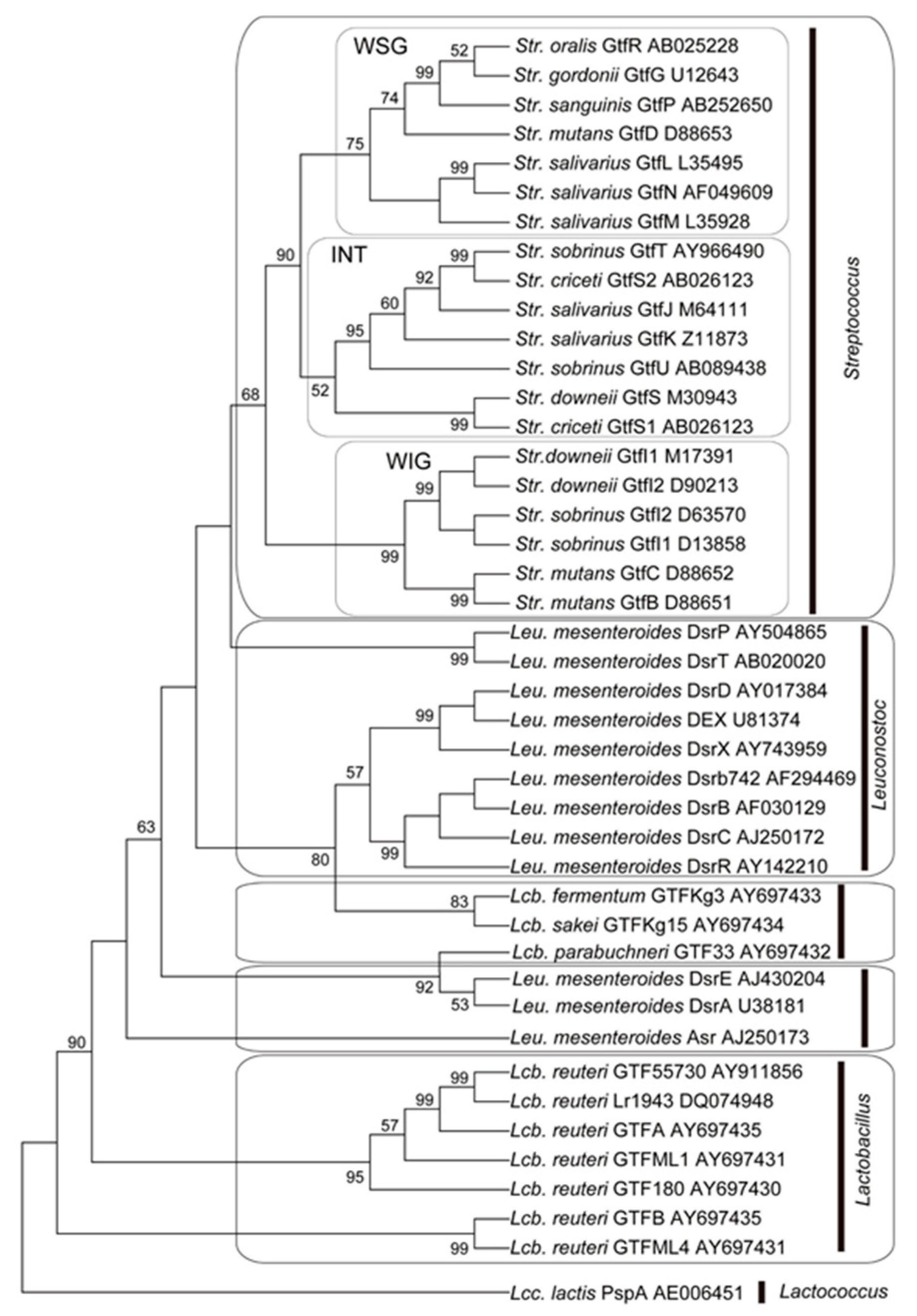 Medicines 06 00004 g006