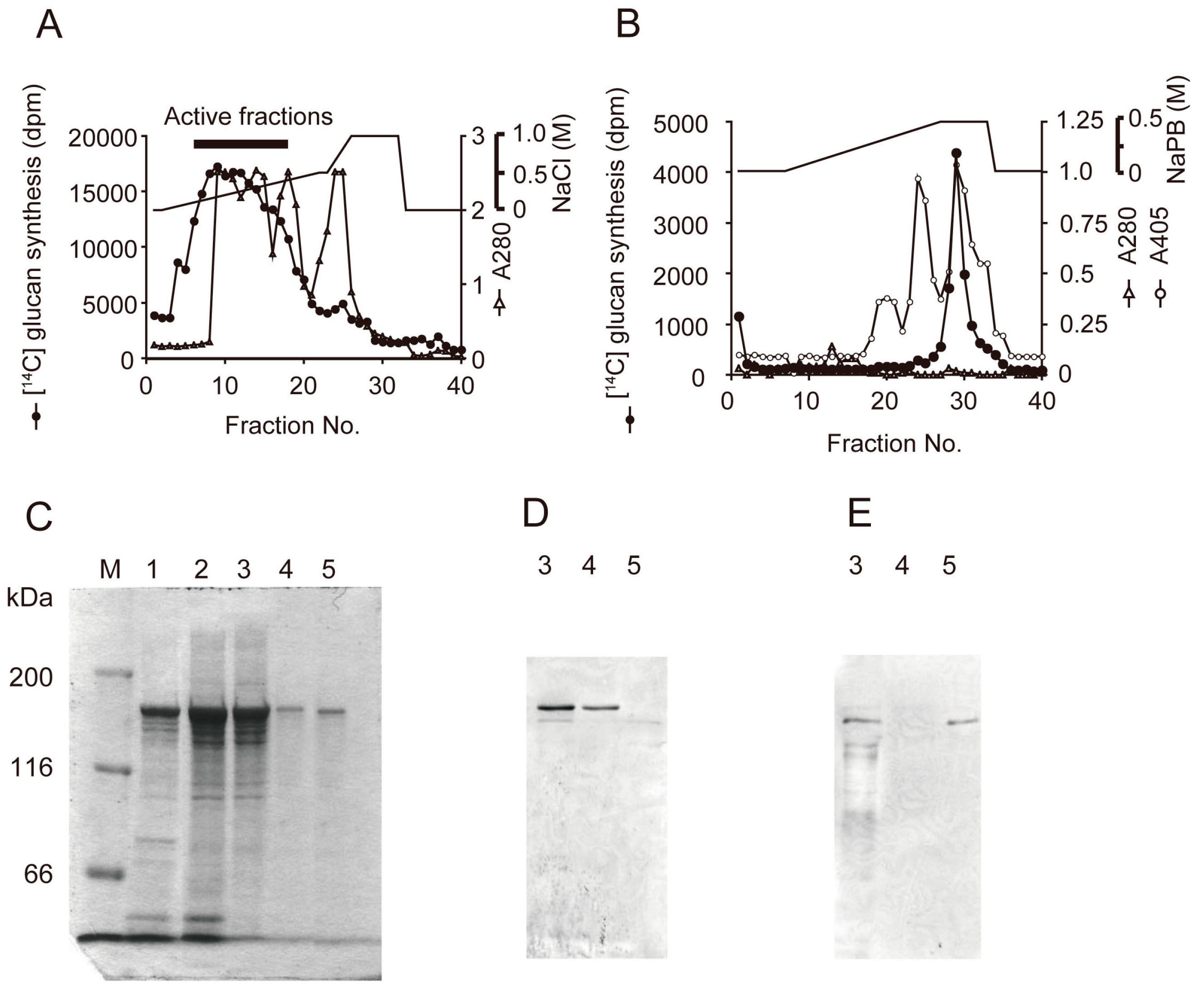 Medicines 06 00004 g007