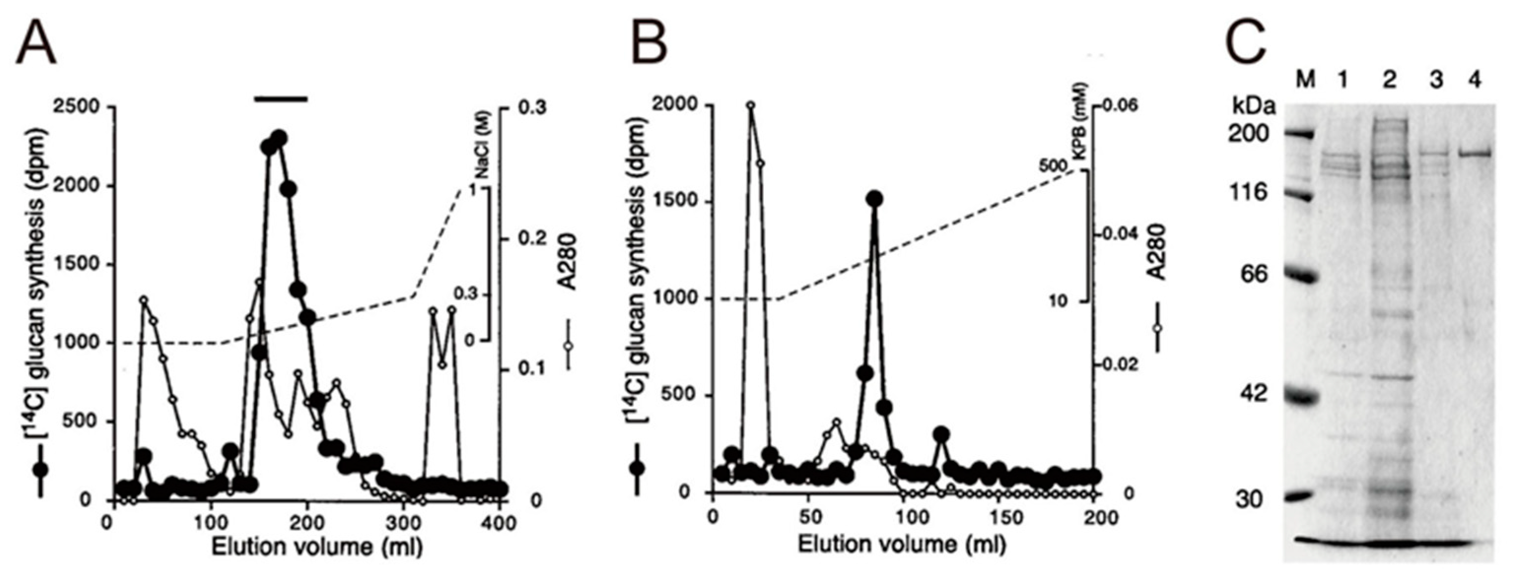 Medicines 06 00004 g008