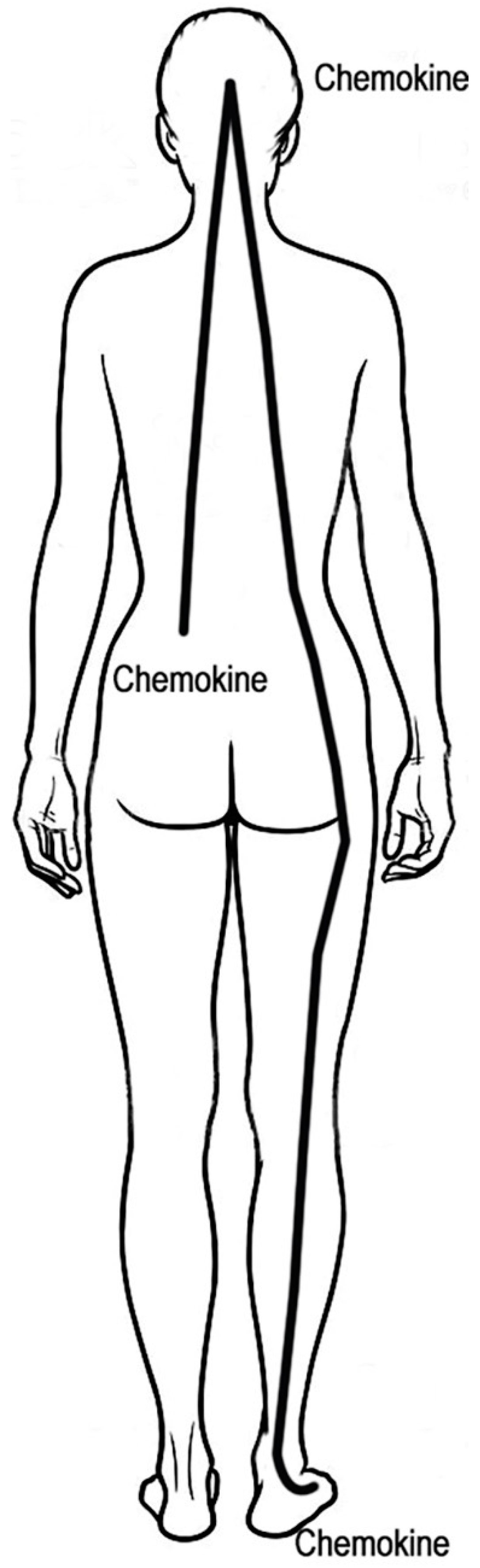Medicines 06 00018 g001 Medicines 06 00018 g001