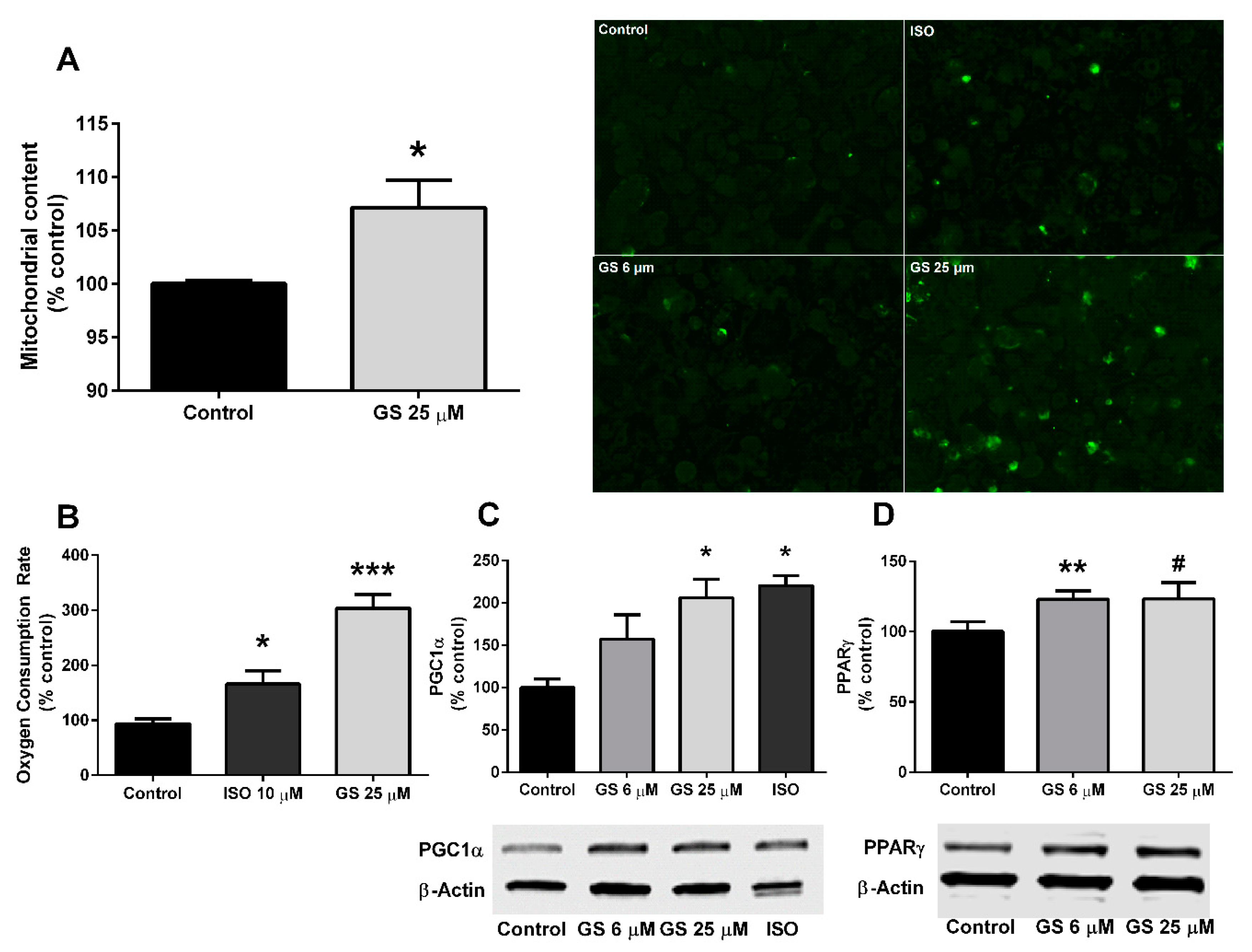 Medicines 06 00022 g003