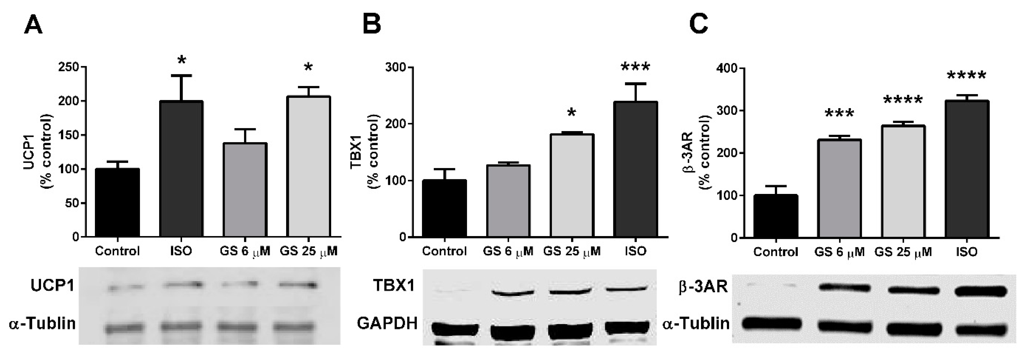 Medicines 06 00022 g004