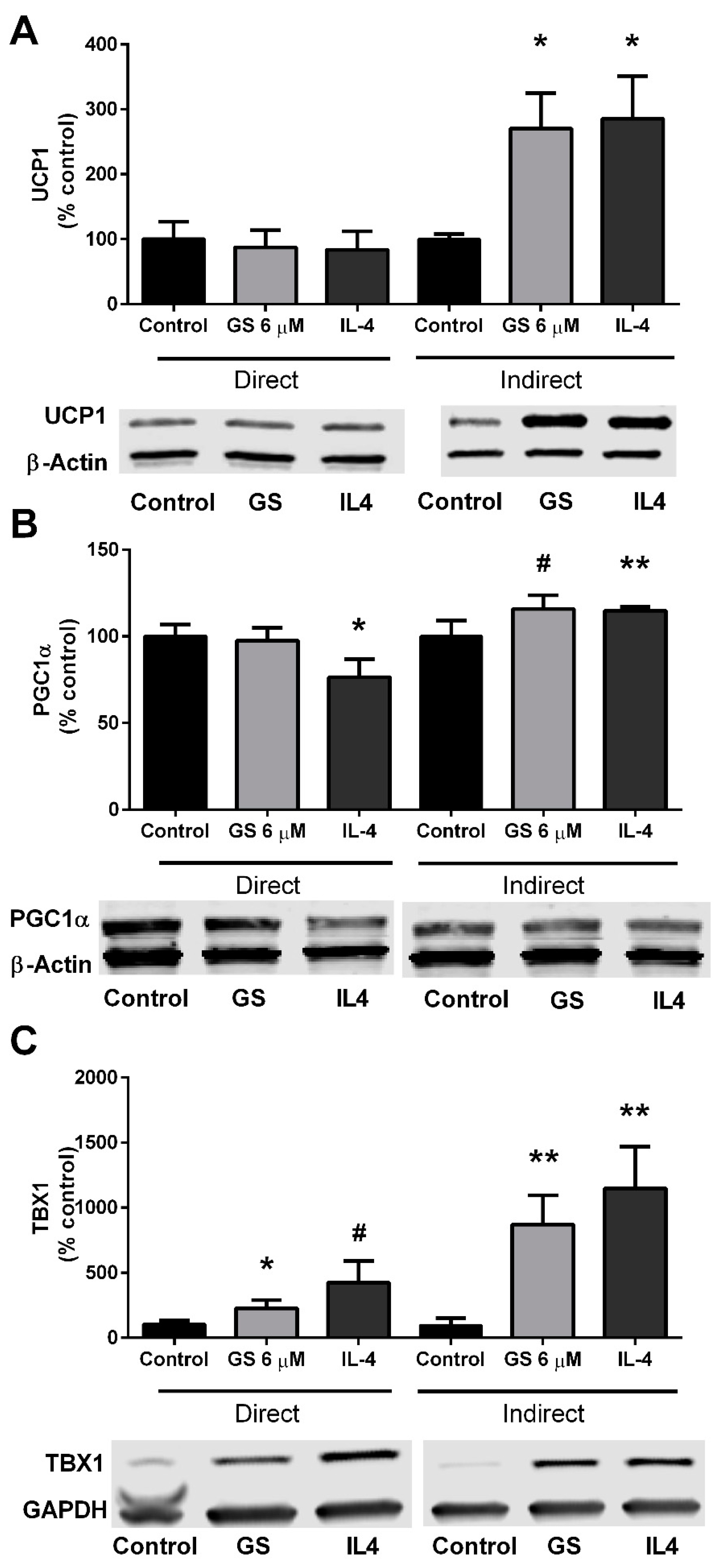 Medicines 06 00022 g006