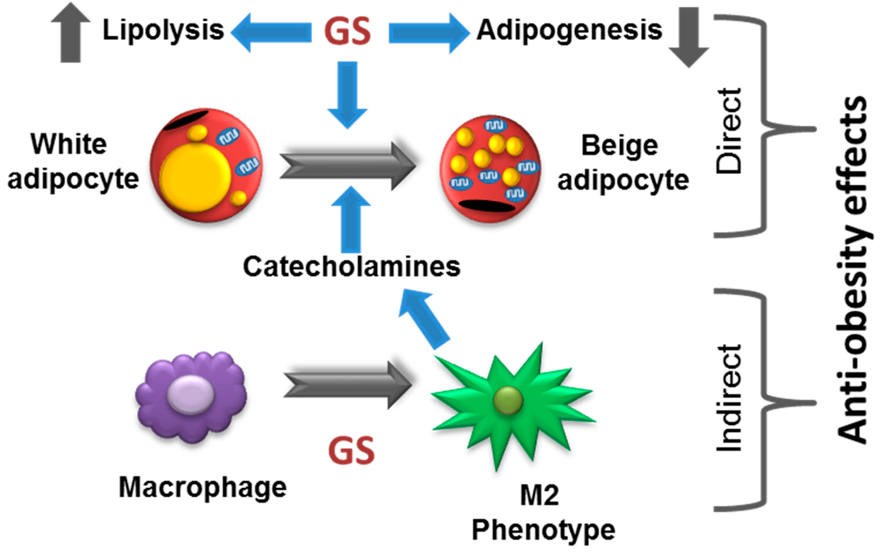 Medicines 06 00022 g007