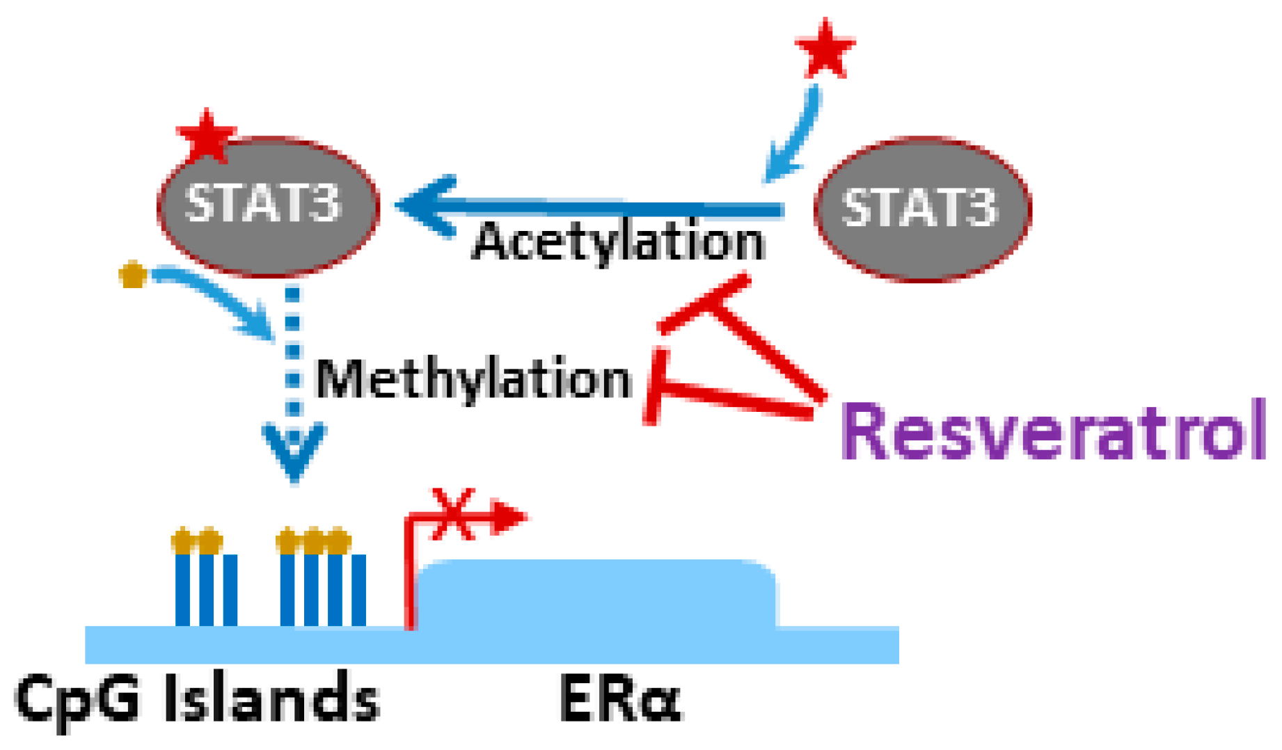 Medicines 06 00024 g003