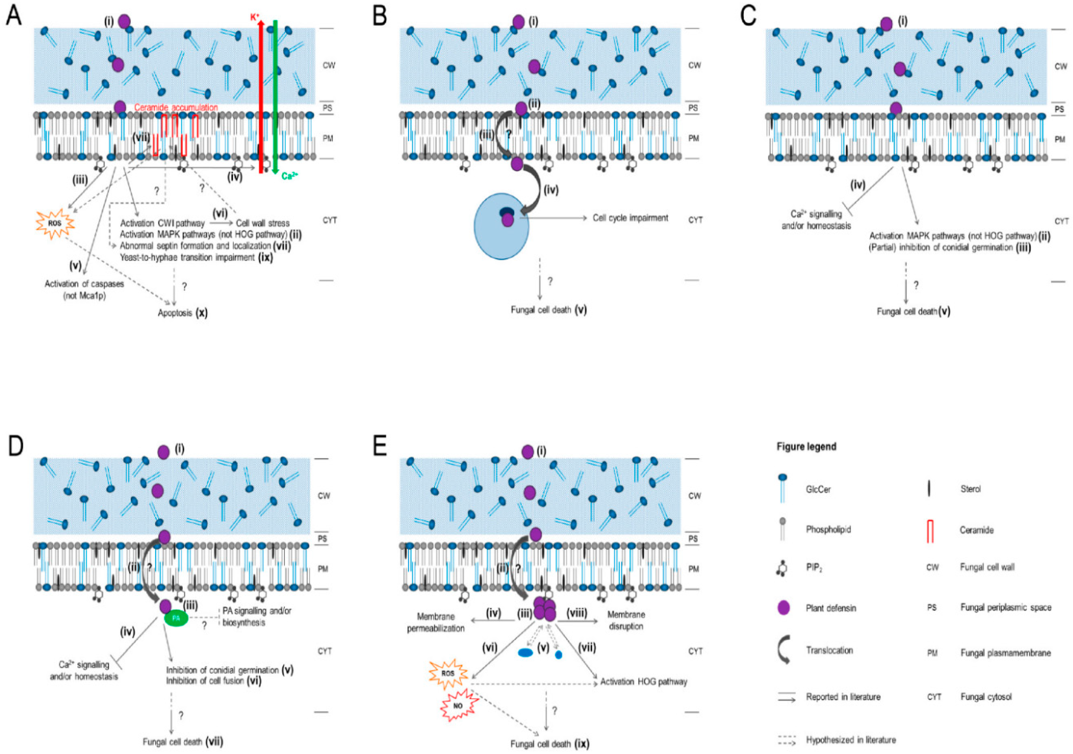 Medicines 06 00029 g003 Medicines 06 00029 g003