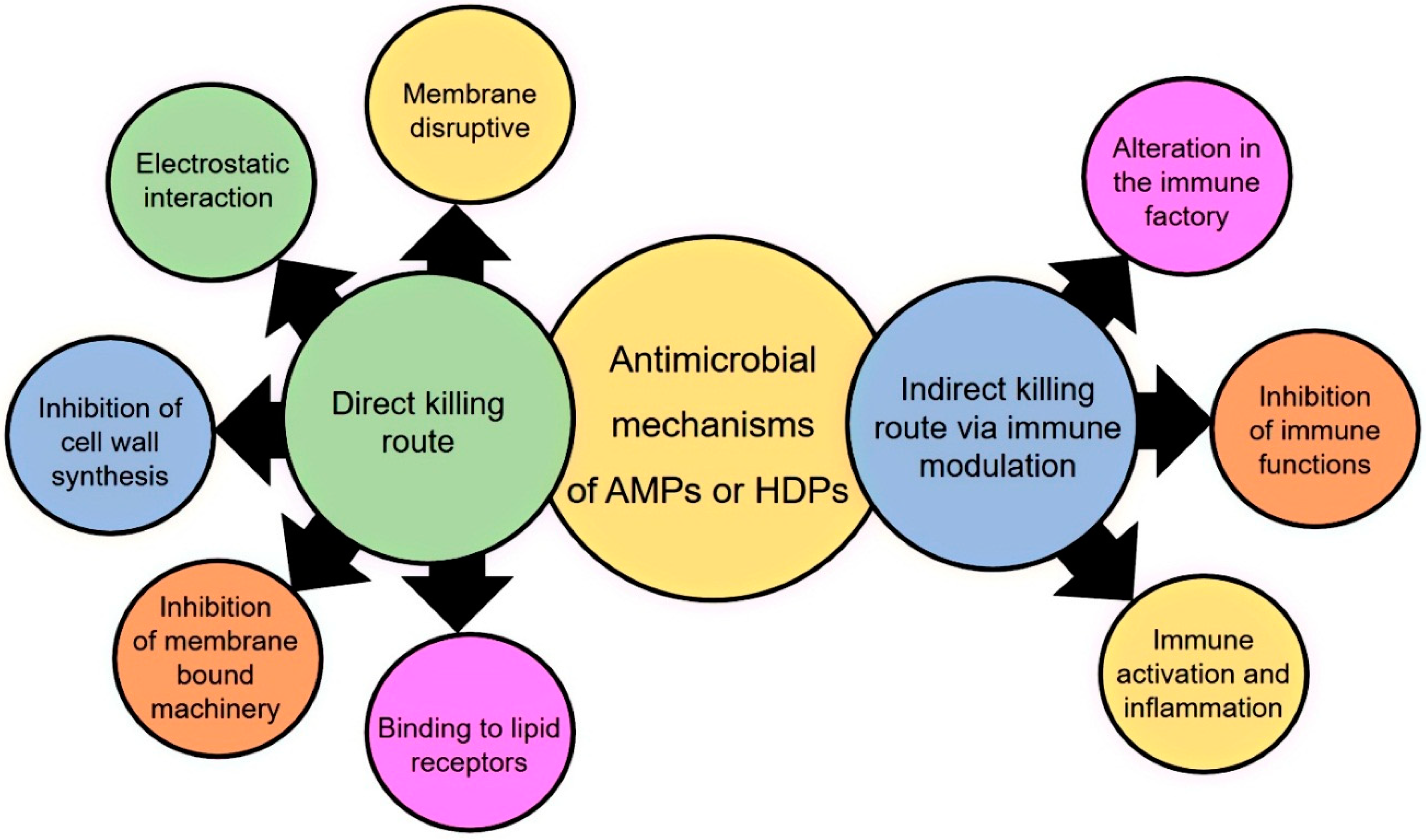 Medicines 06 00029 g006 Medicines 06 00029 g006