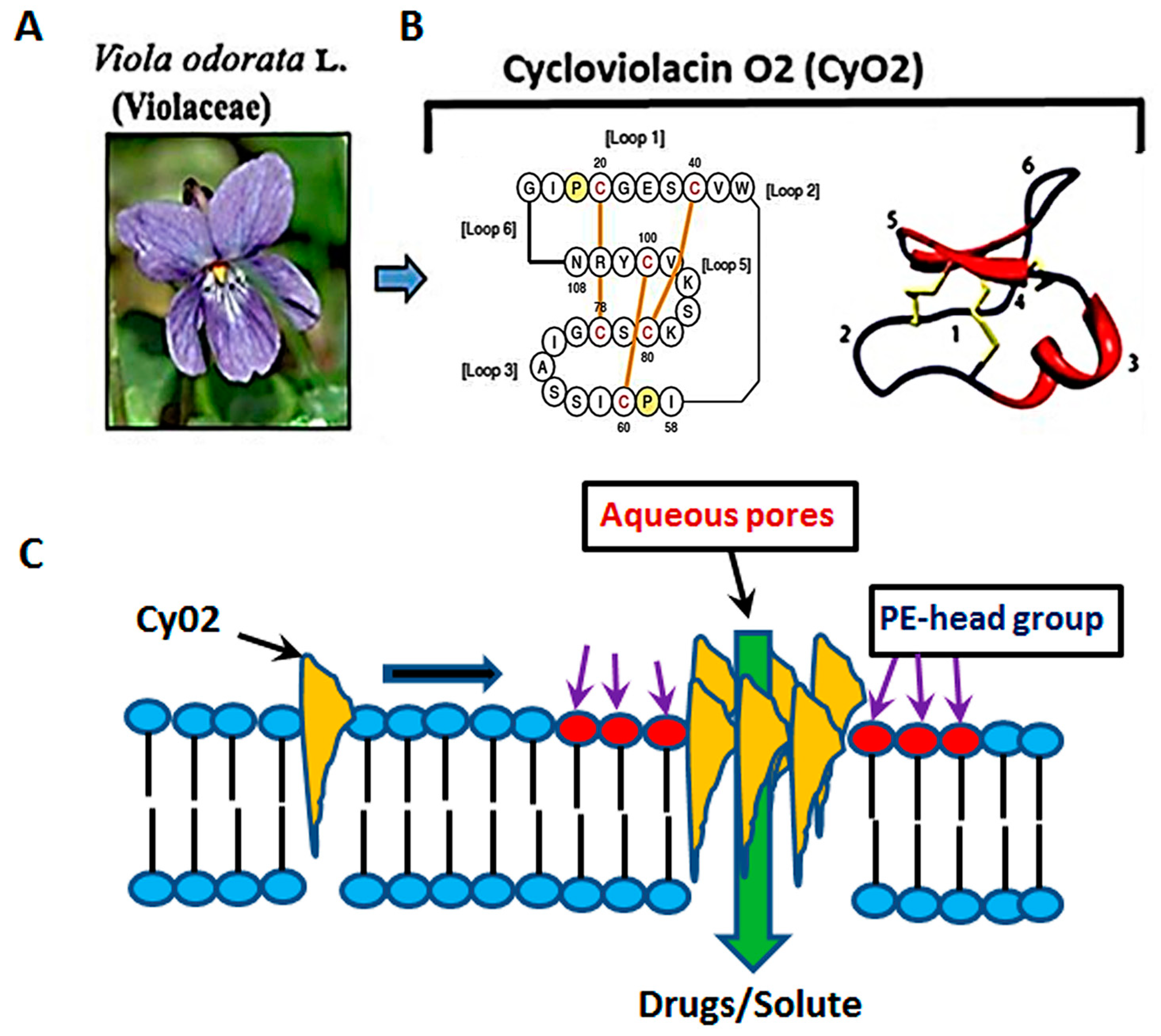 Medicines 06 00033 g001 Medicines 06 00033 g001
