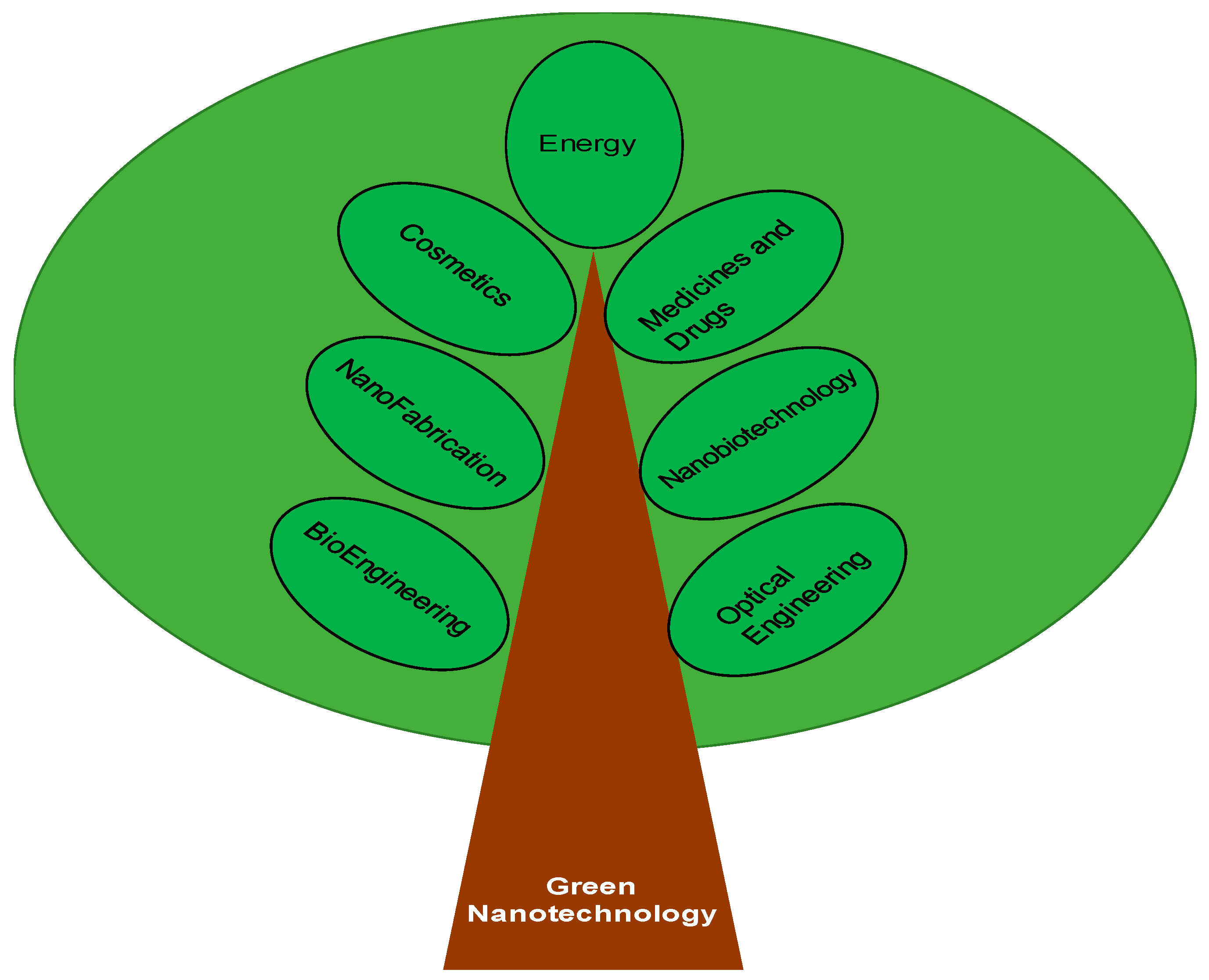 Medicines 06 00039 g001