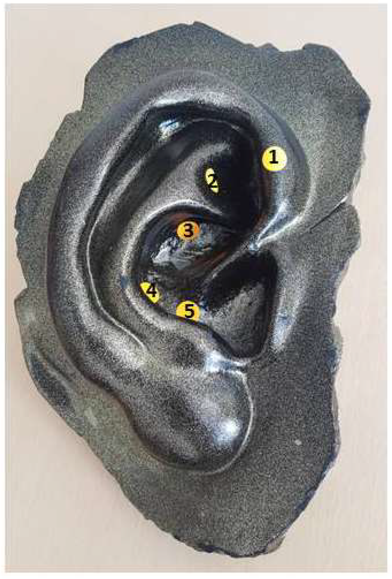 Medicines 06 00044 g001