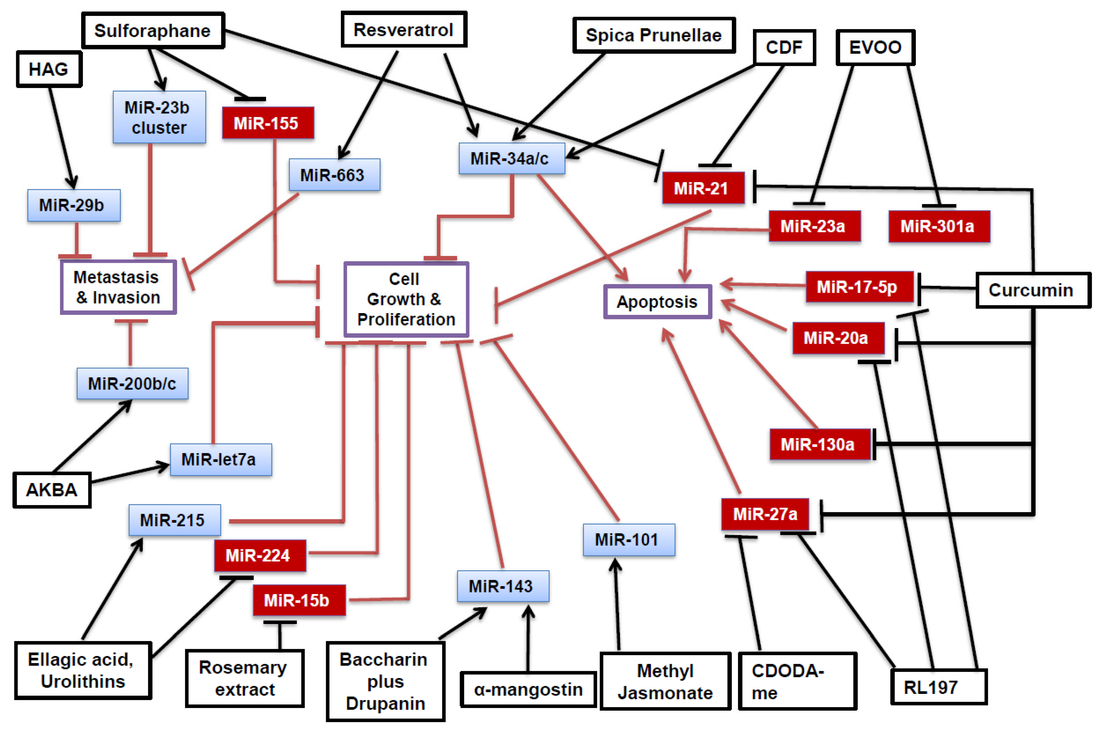 Medicines 06 00048 g001