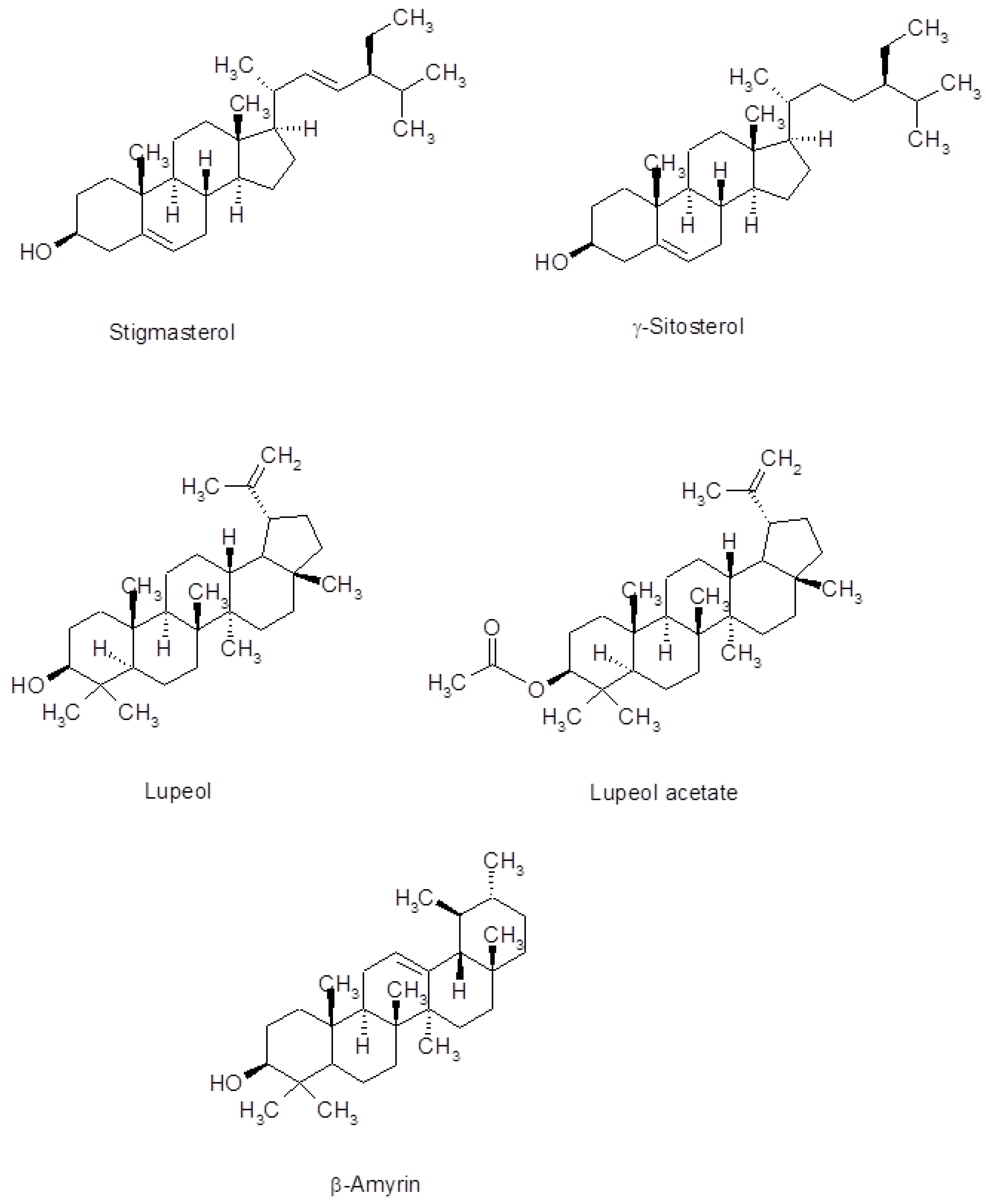 Medicines 06 00053 g002