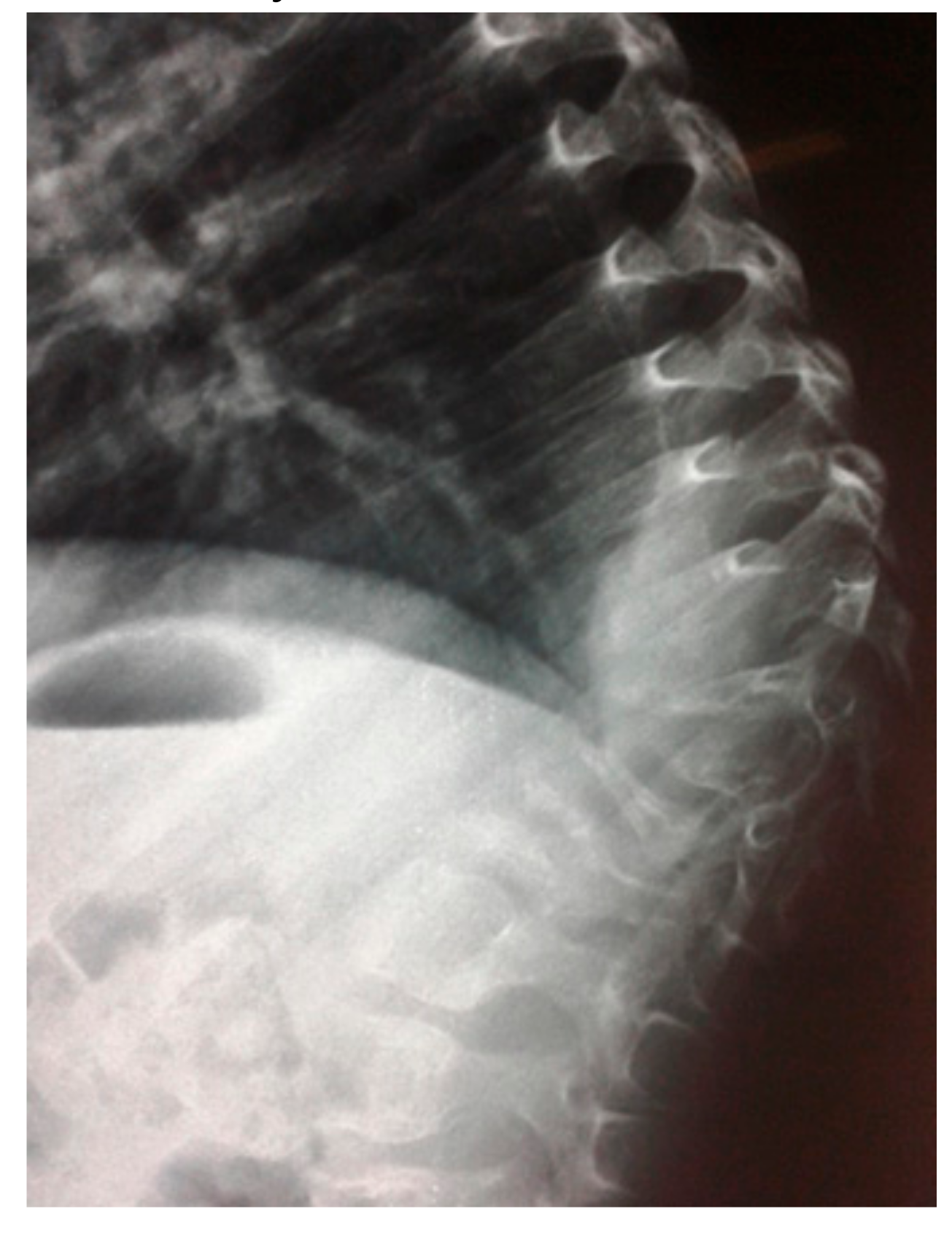 Medicines 06 00054 g001