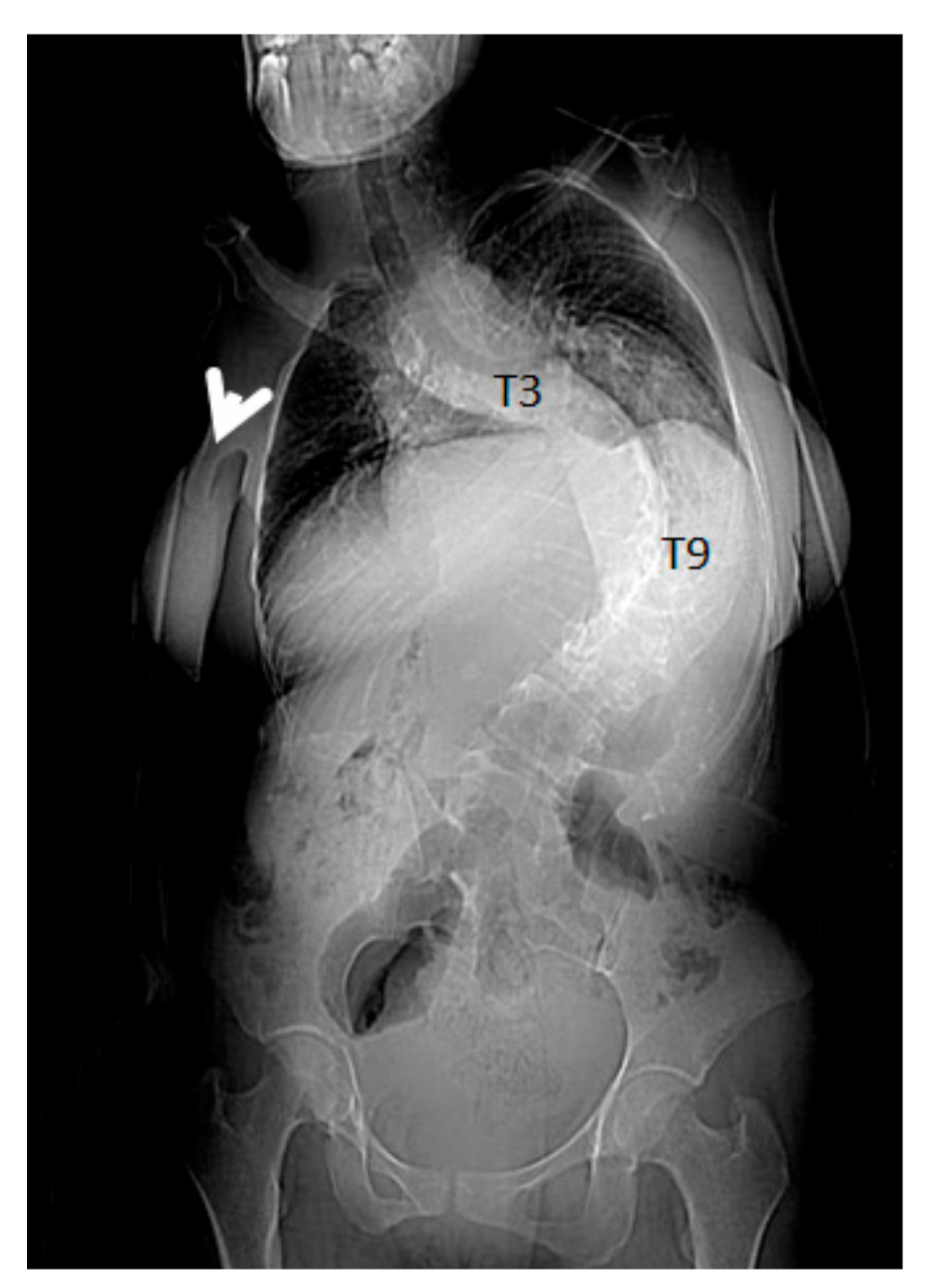 Medicines 06 00054 g003