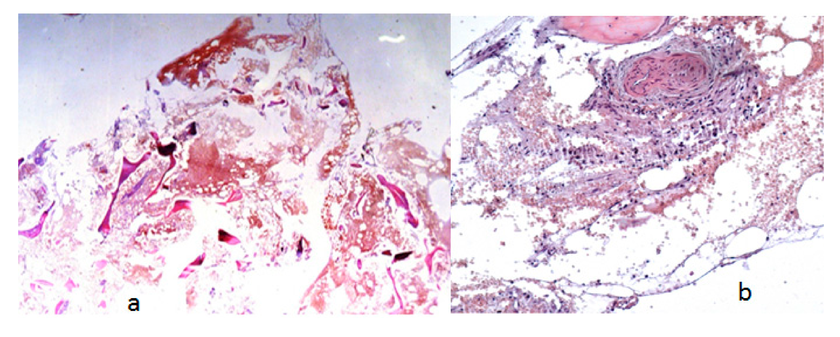 Medicines 06 00054 g005