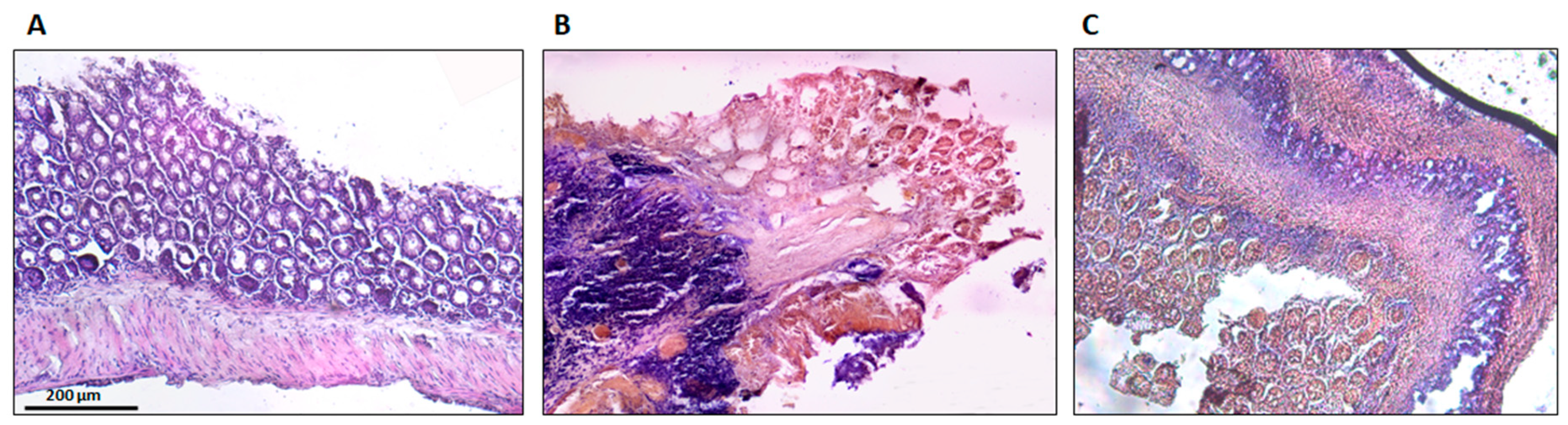 Medicines 06 00065 g008 Medicines 06 00065 g008