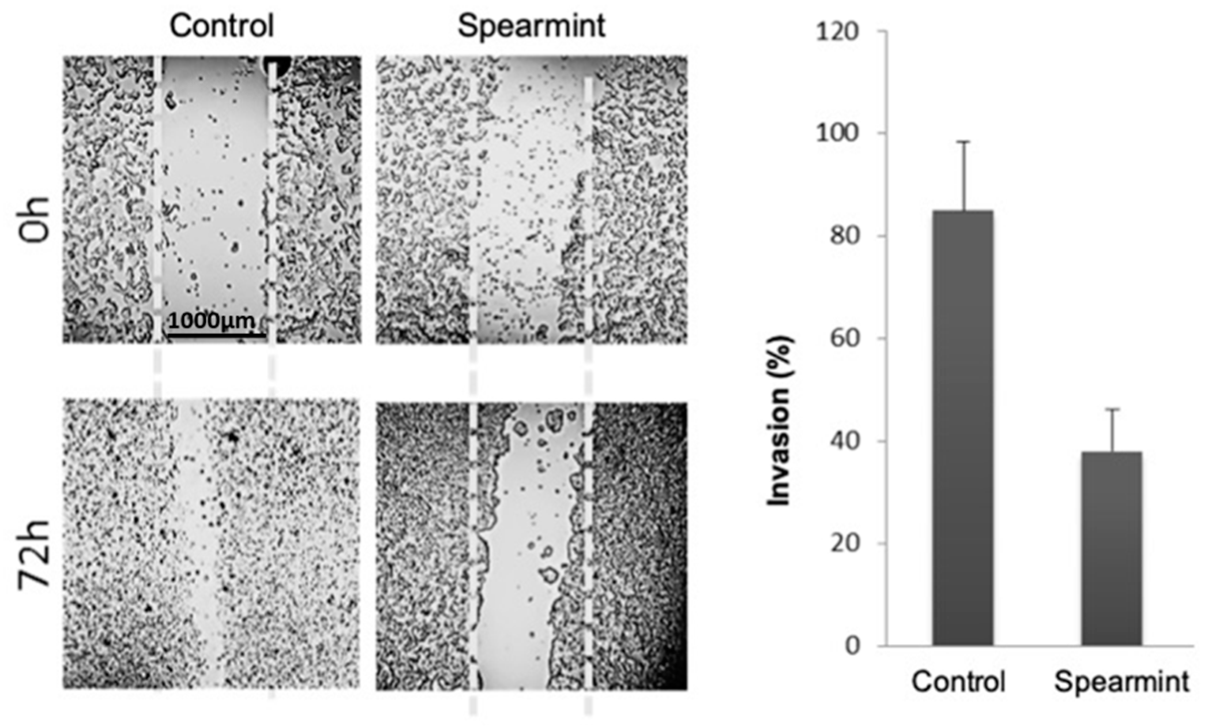 Medicines 06 00065 g011 Medicines 06 00065 g011