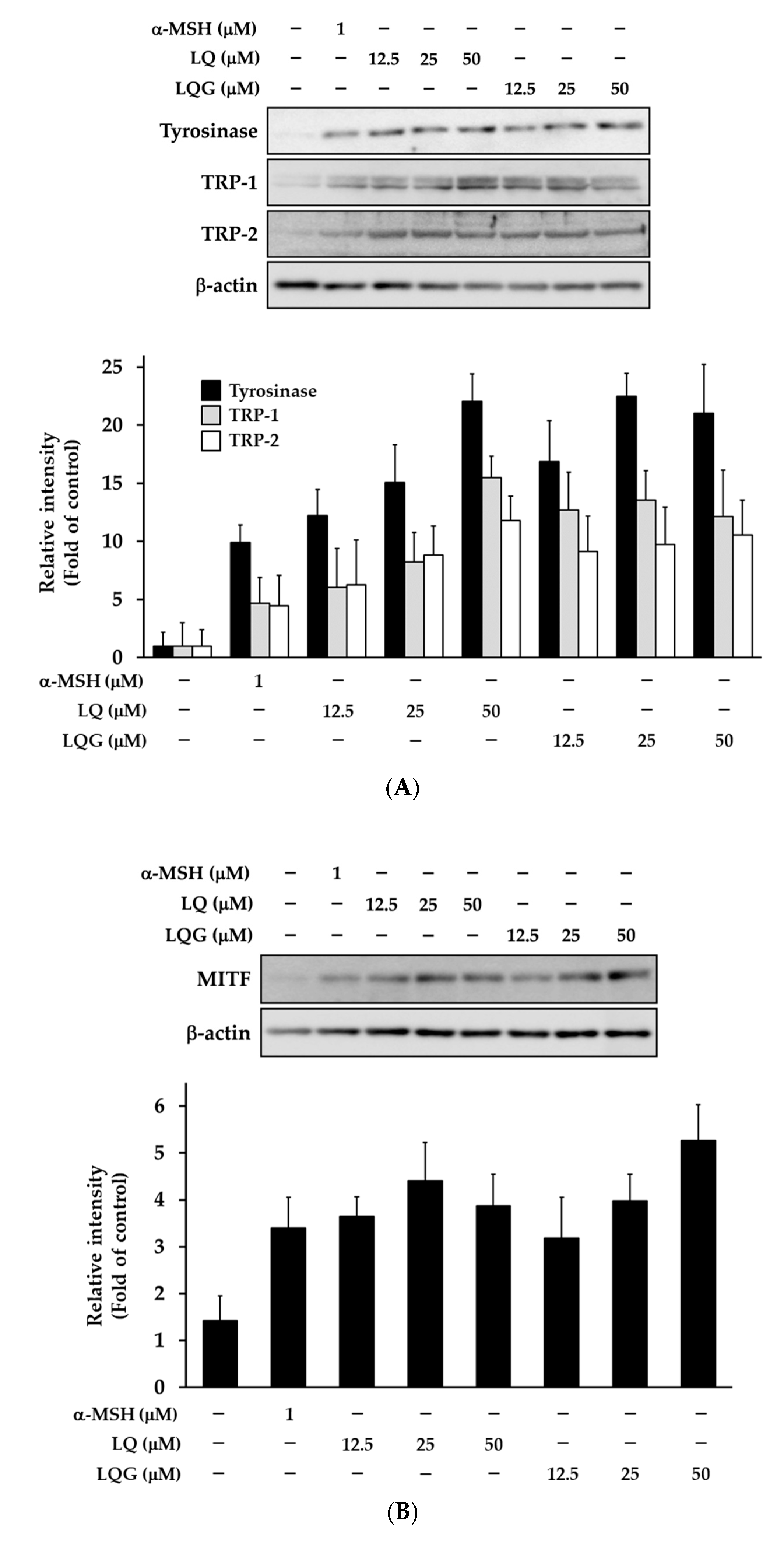 Medicines 06 00068 g004