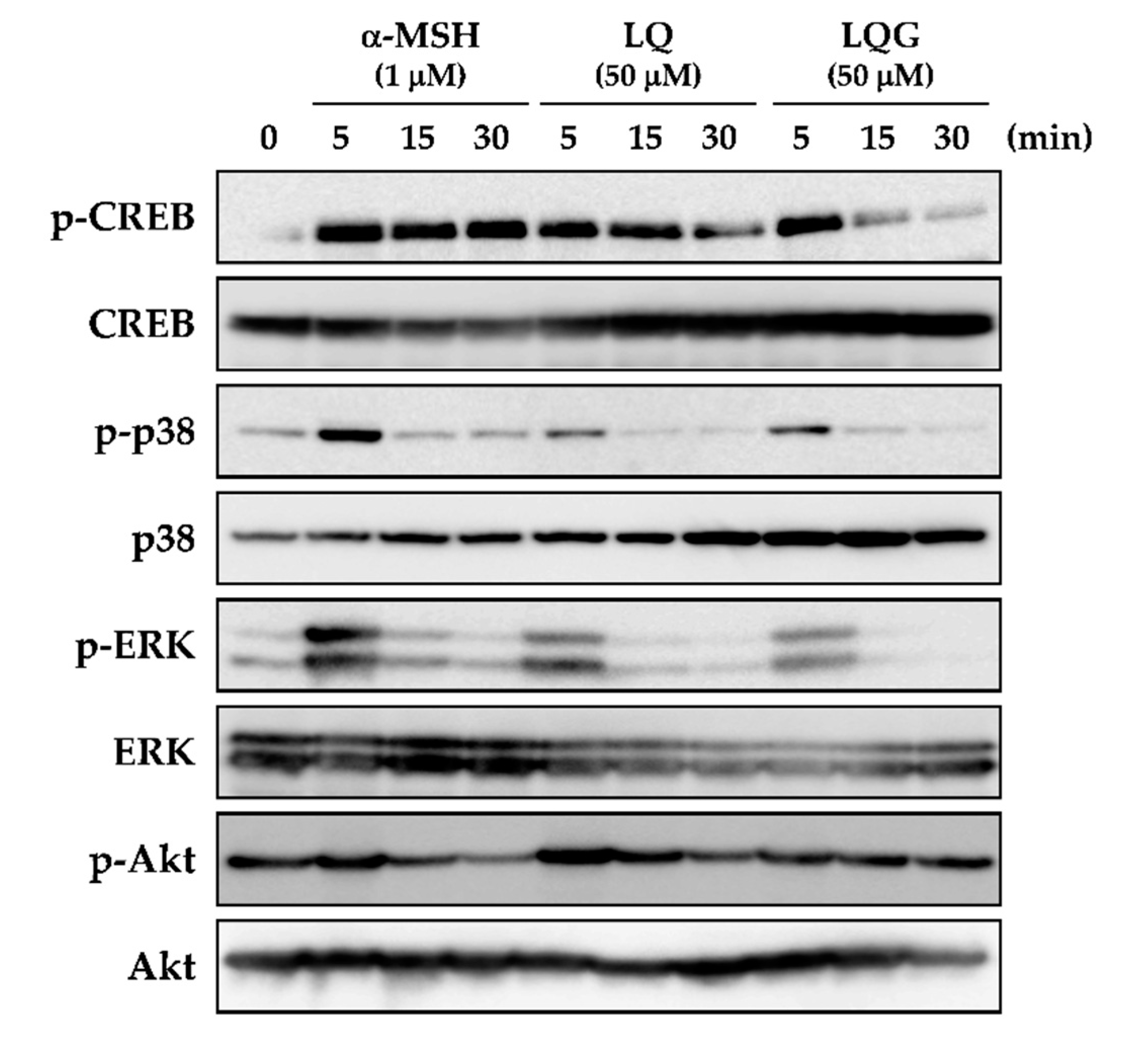 Medicines 06 00068 g005