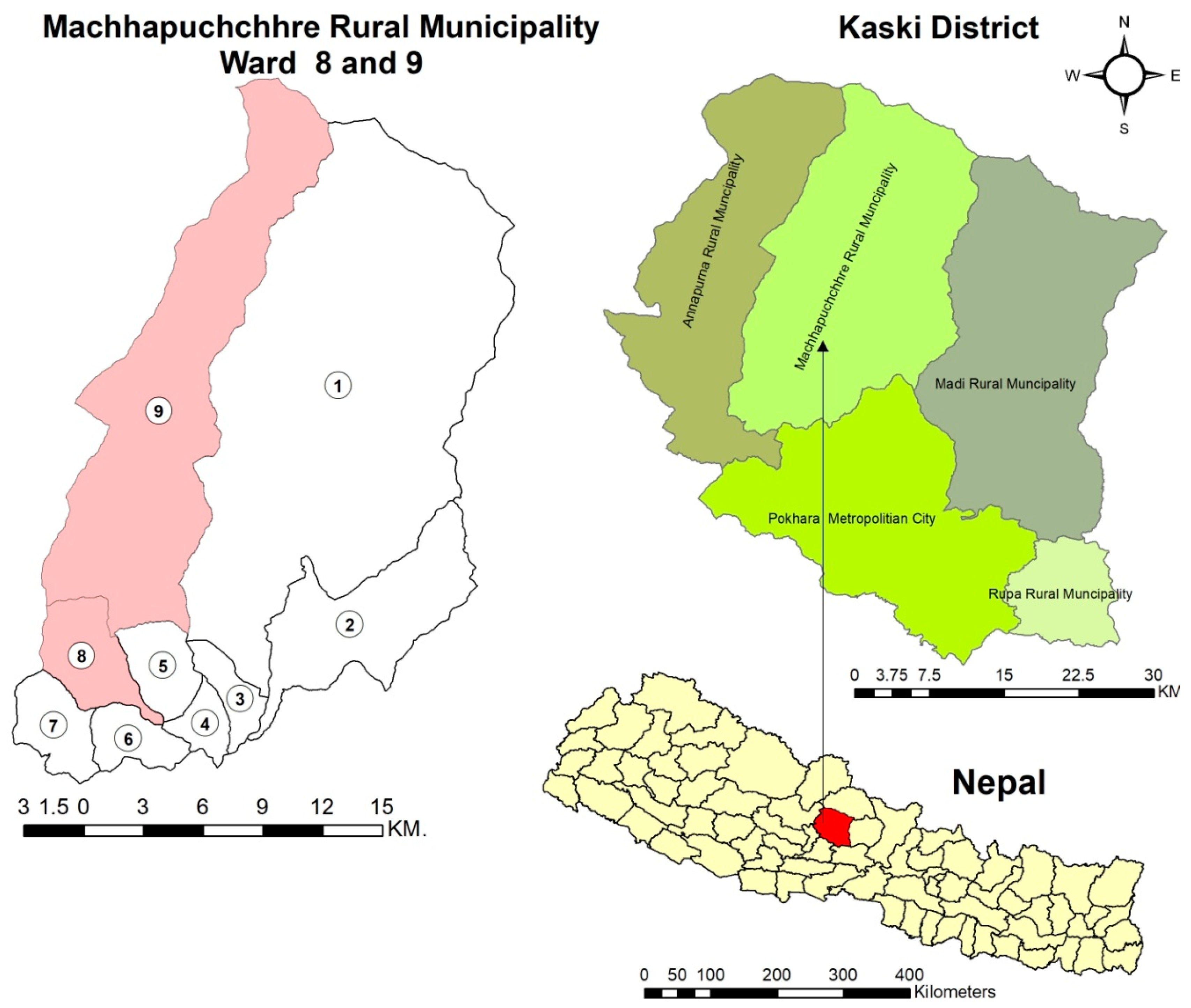 Medicines 06 00069 g001