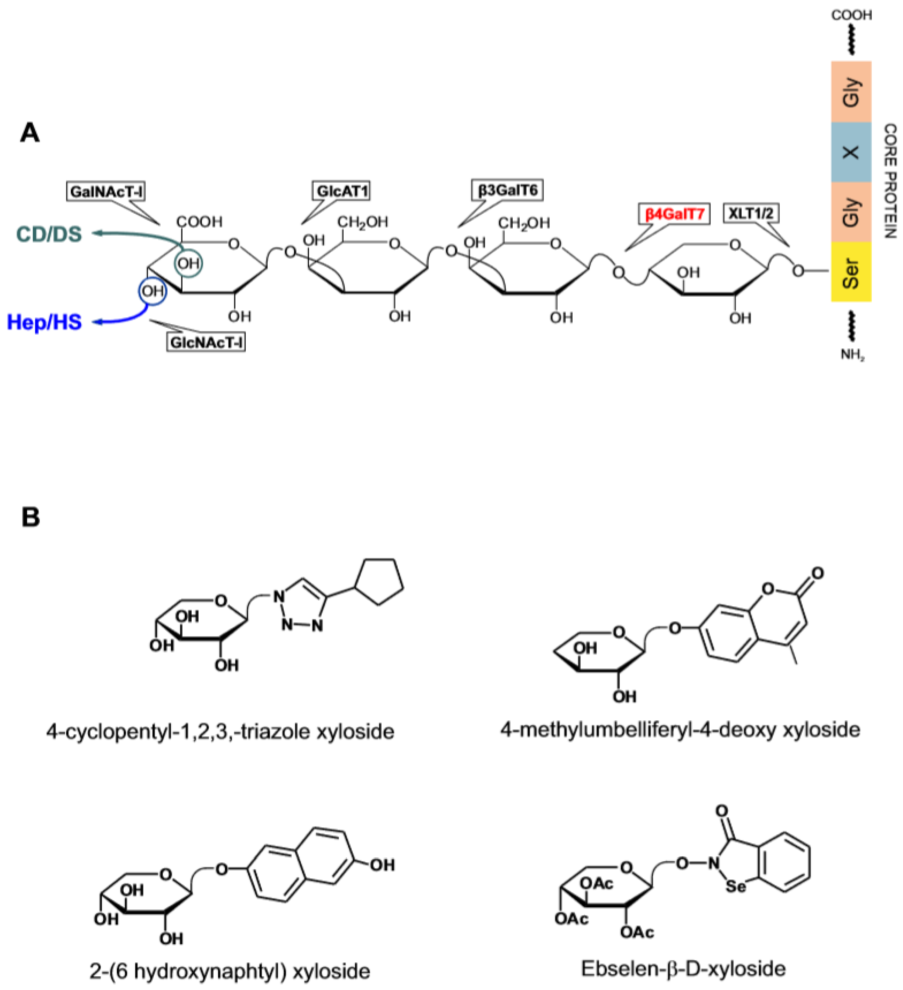 Medicines 06 00080 g005