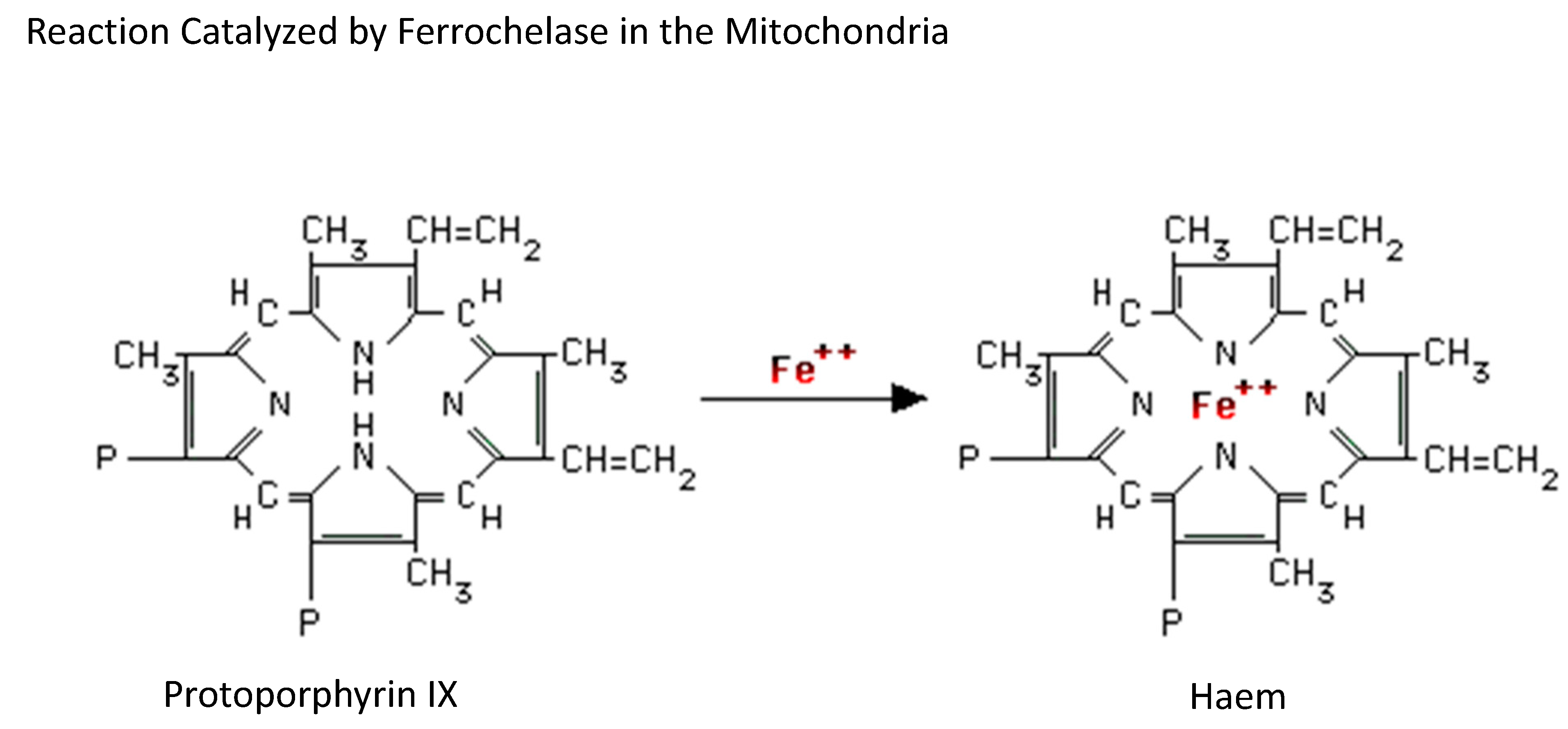 Medicines 06 00085 g005 Medicines 06 00085 g005