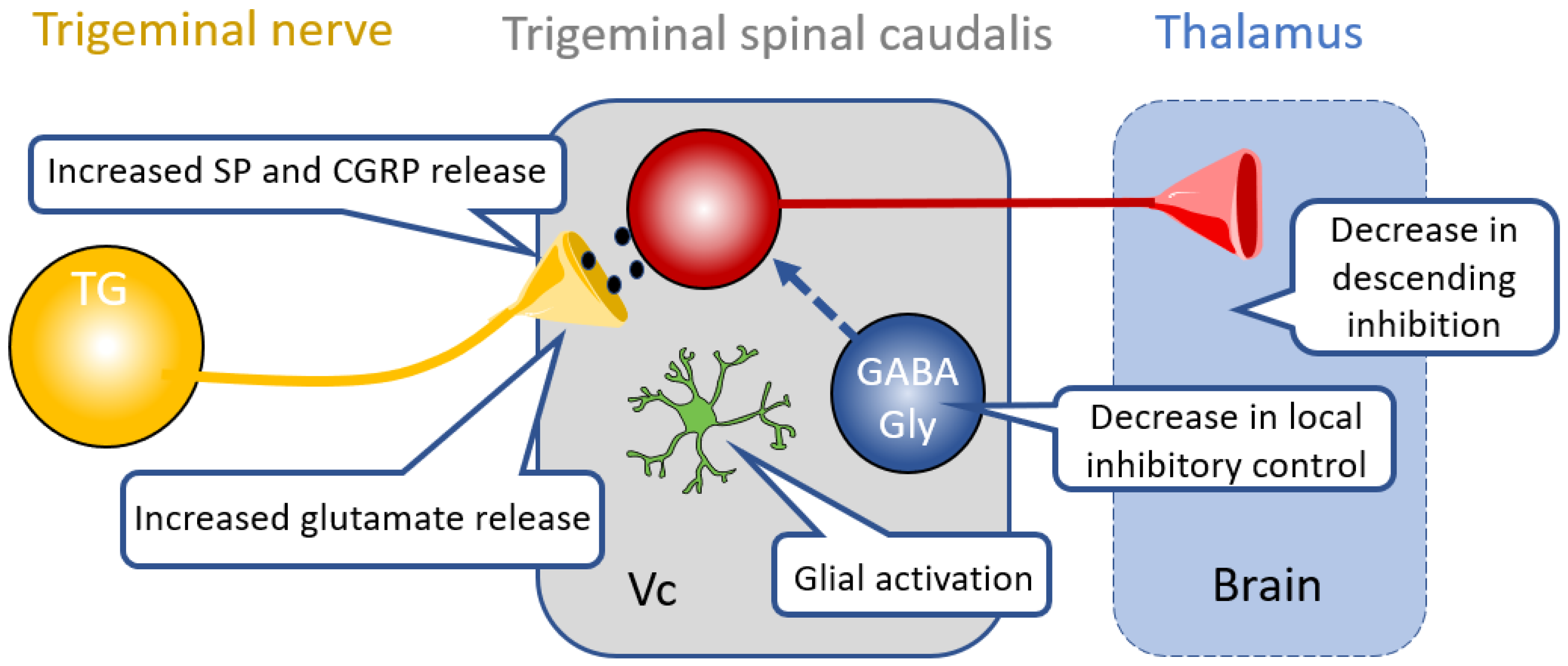 Medicines 06 00091 g003