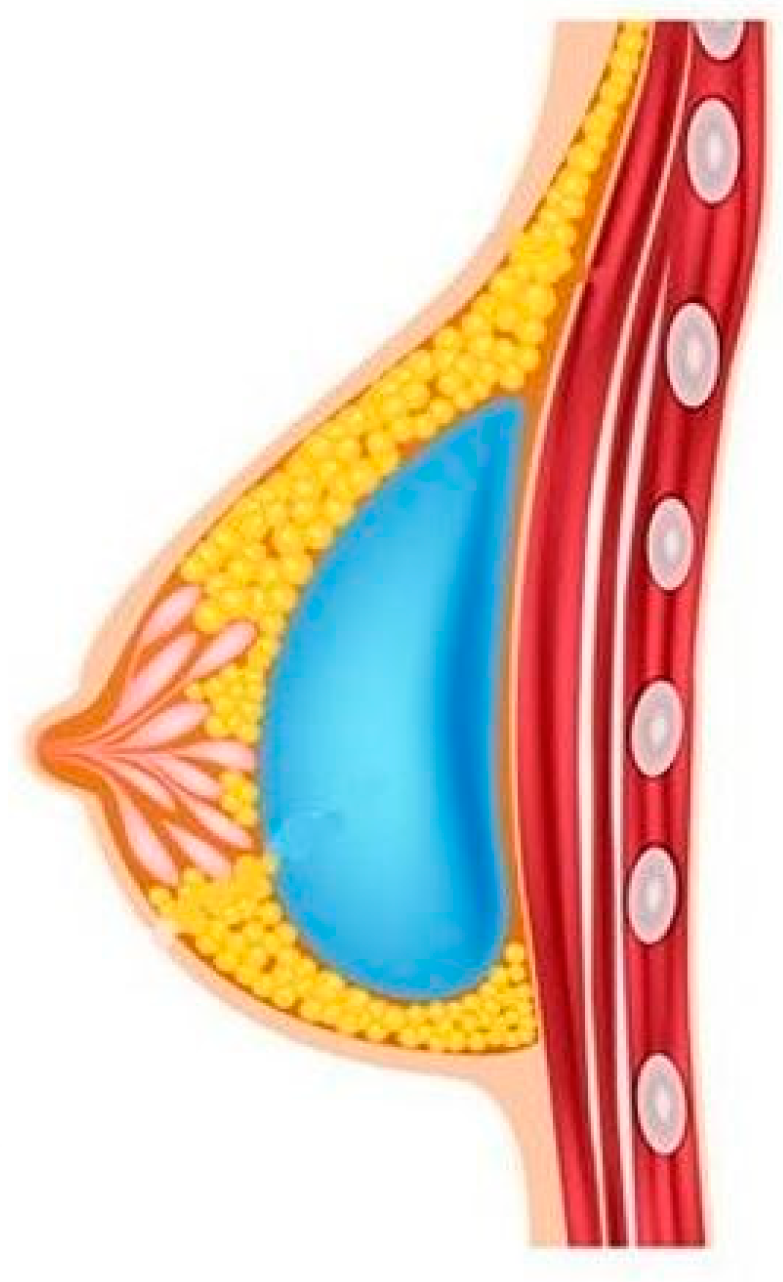 Medicines 07 00028 g003