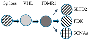 Medicines 07 00044 i002