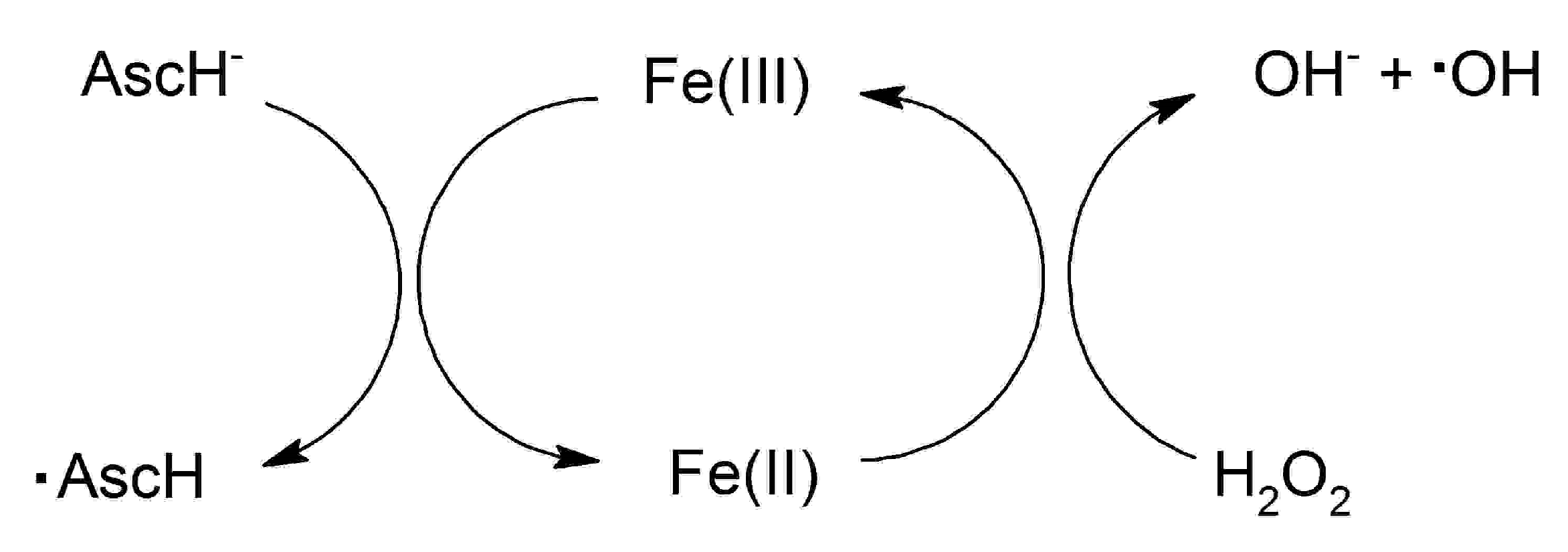 Medicines 07 00045 g003
