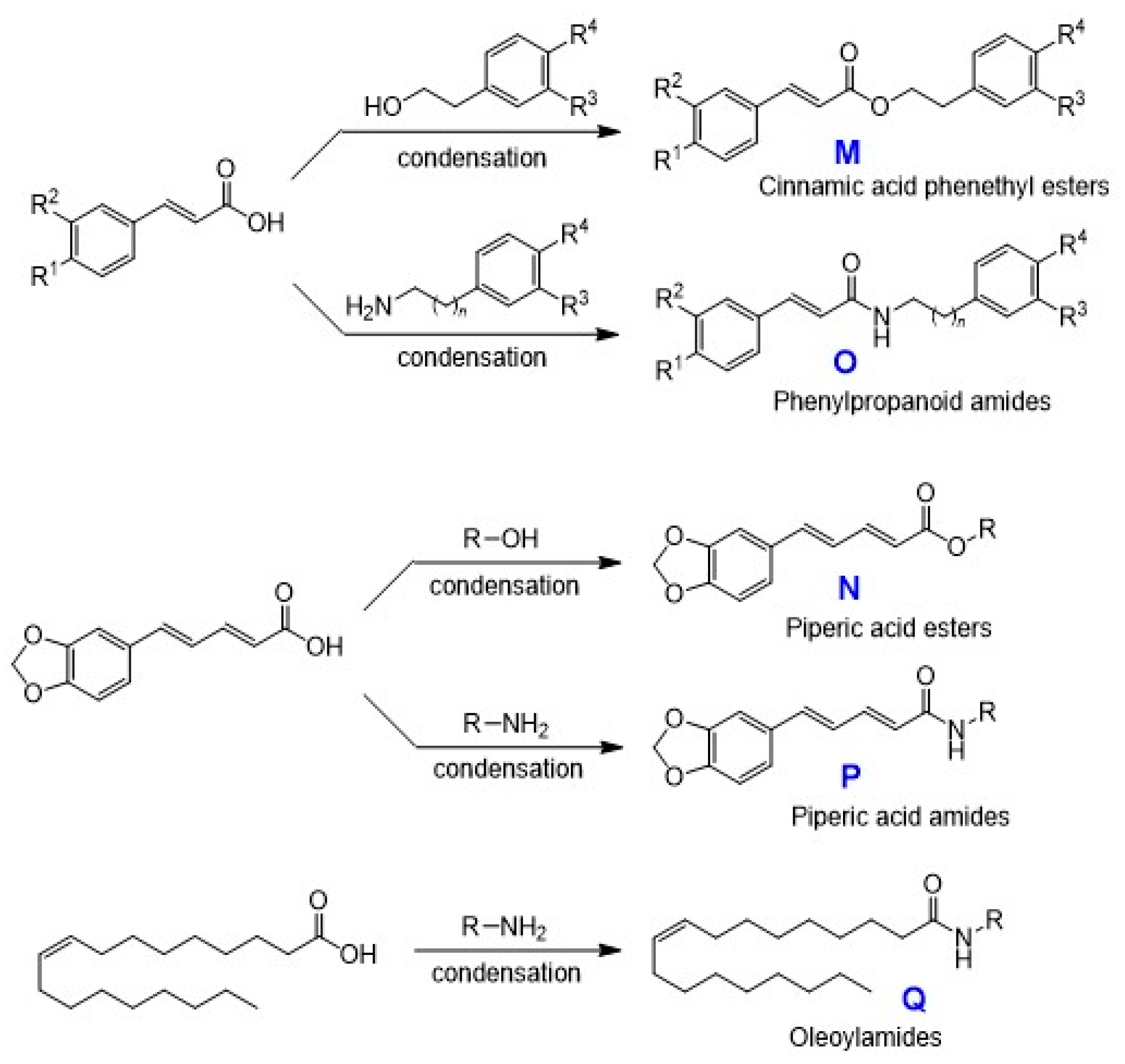 Medicines 07 00050 g006 Medicines 07 00050 g006