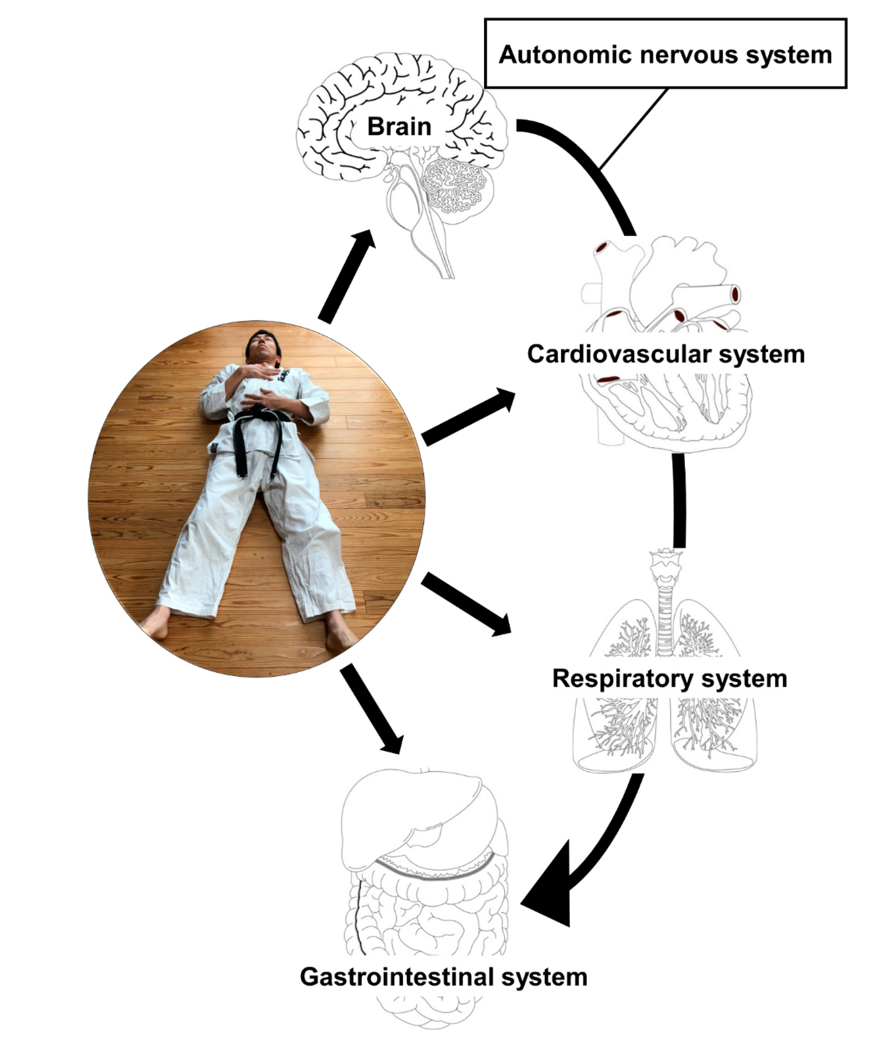 Medicines 07 00065 g001 Medicines 07 00065 g001